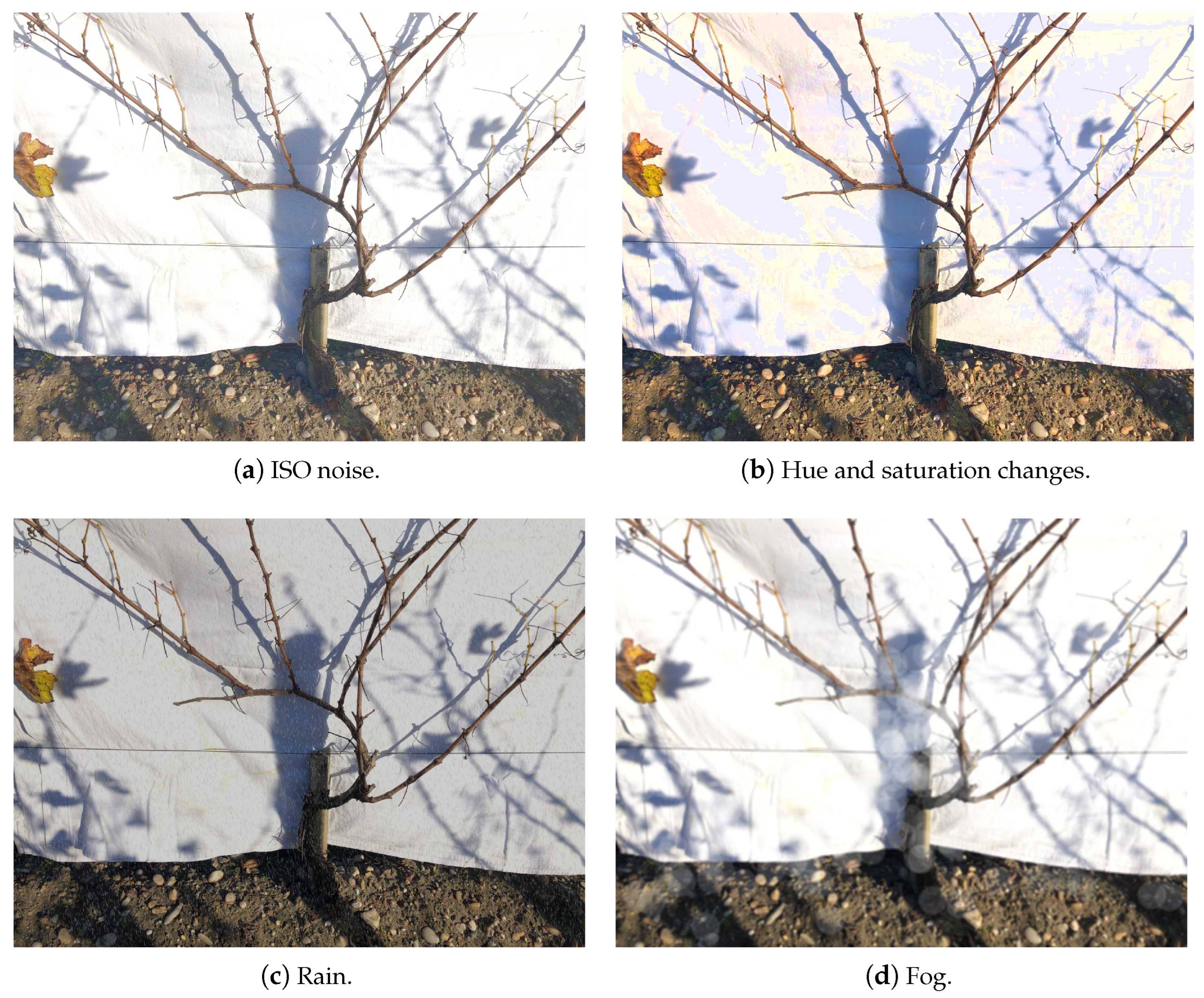 Sensors 24 06774 g003