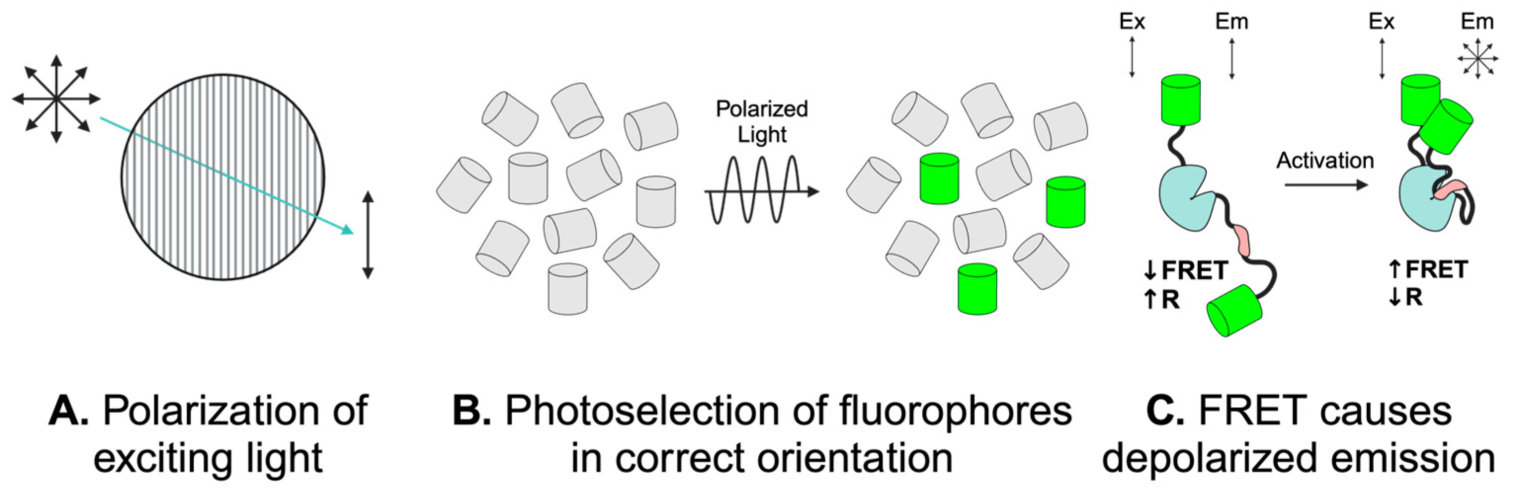 Sensors 24 06869 g001