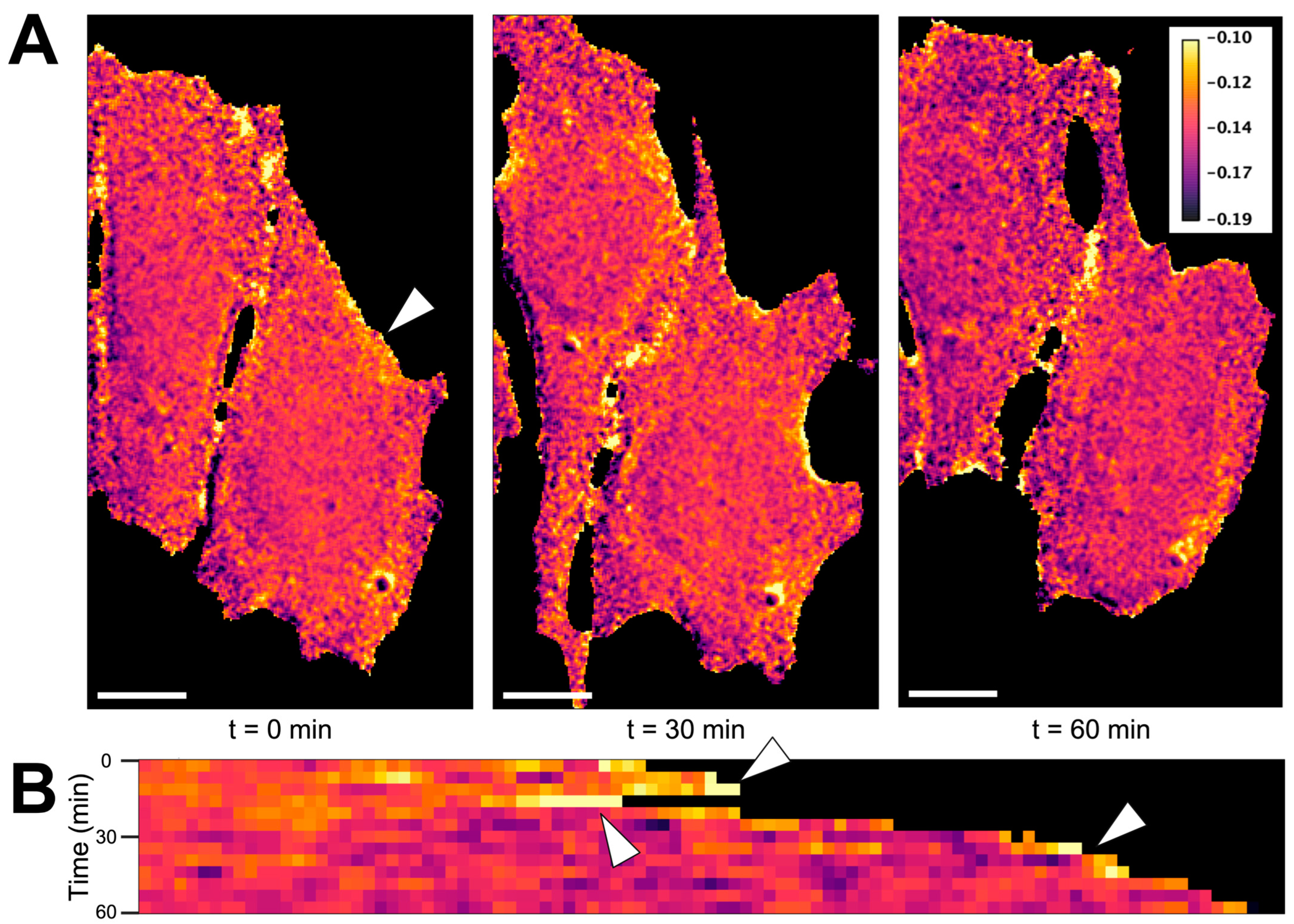 Sensors 24 06869 g005