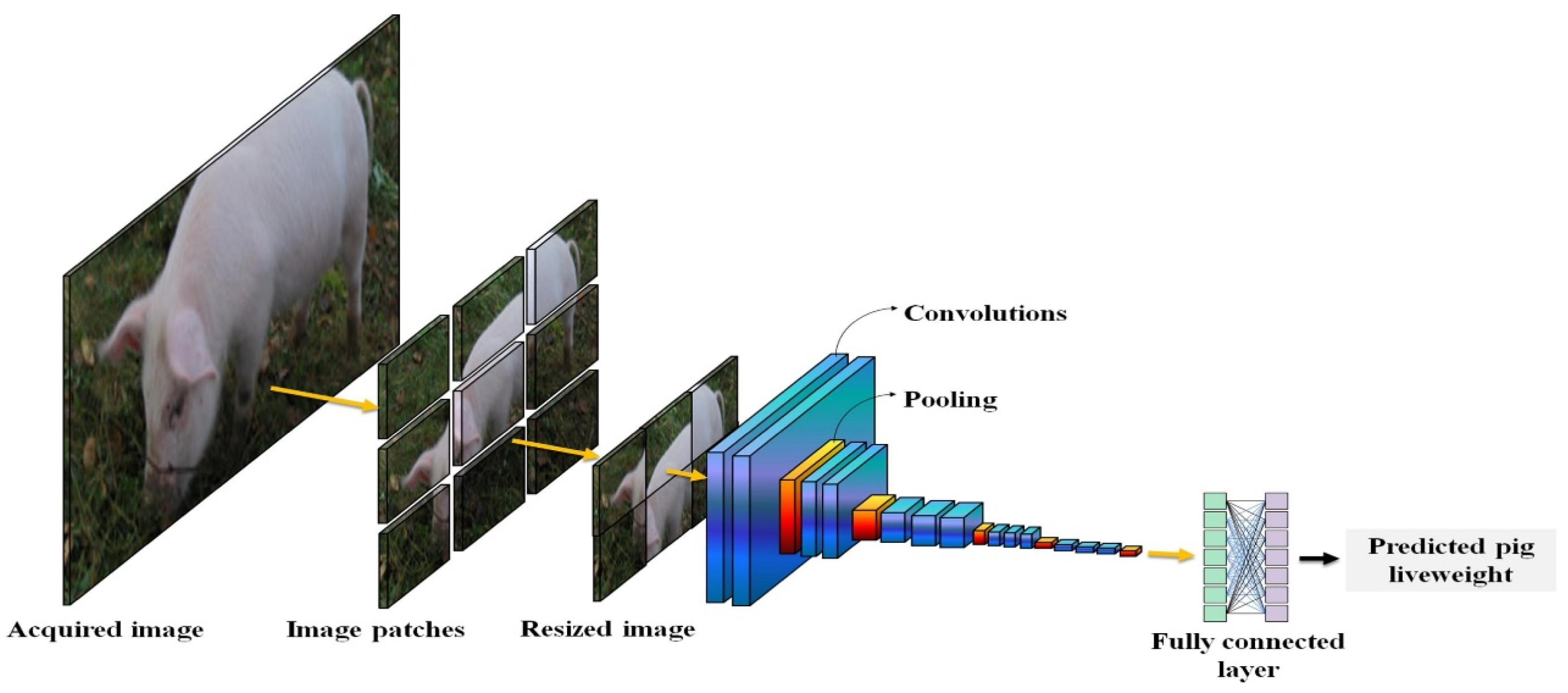 Sensors 24 07093 g006
