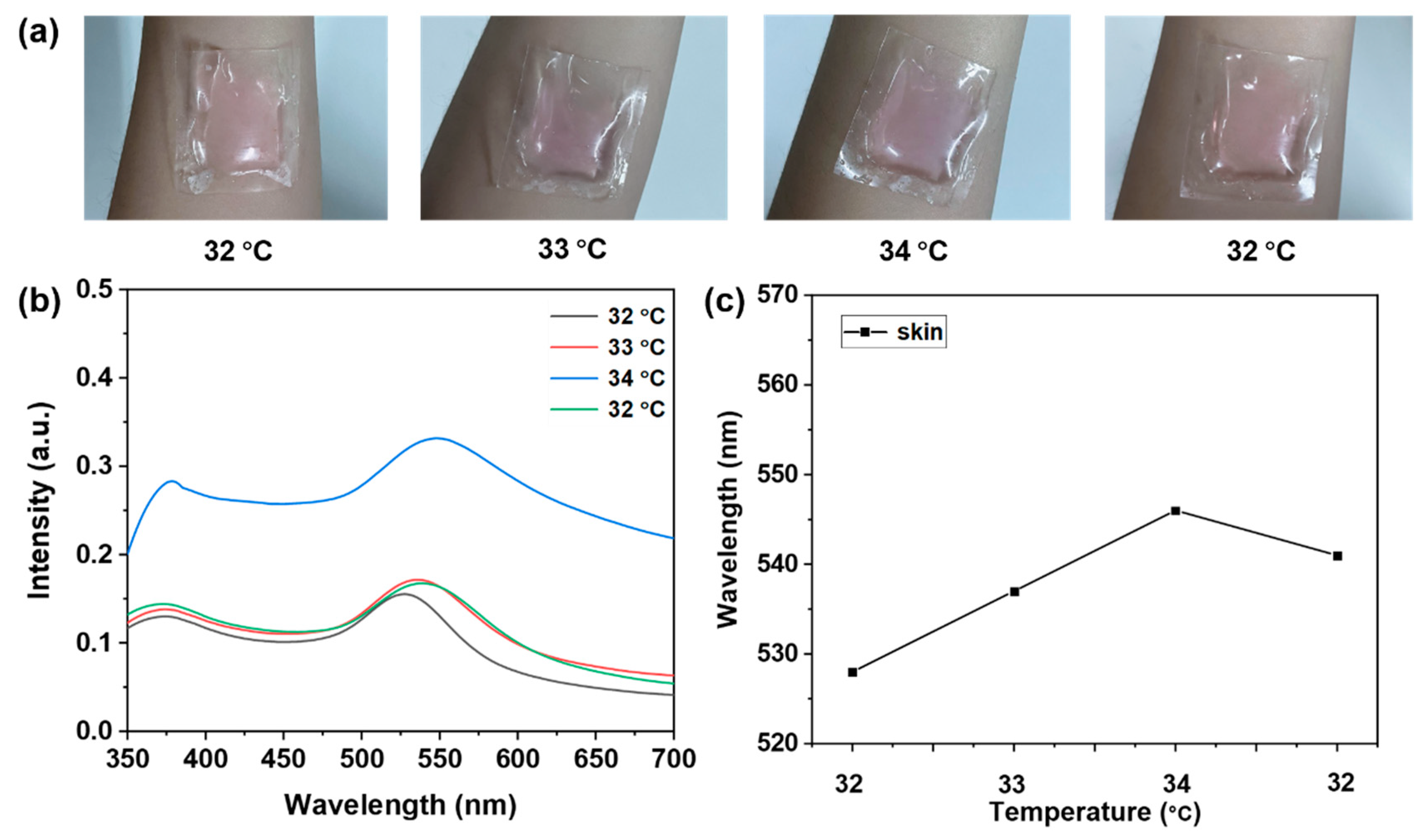 Sensors 24 07124 g007