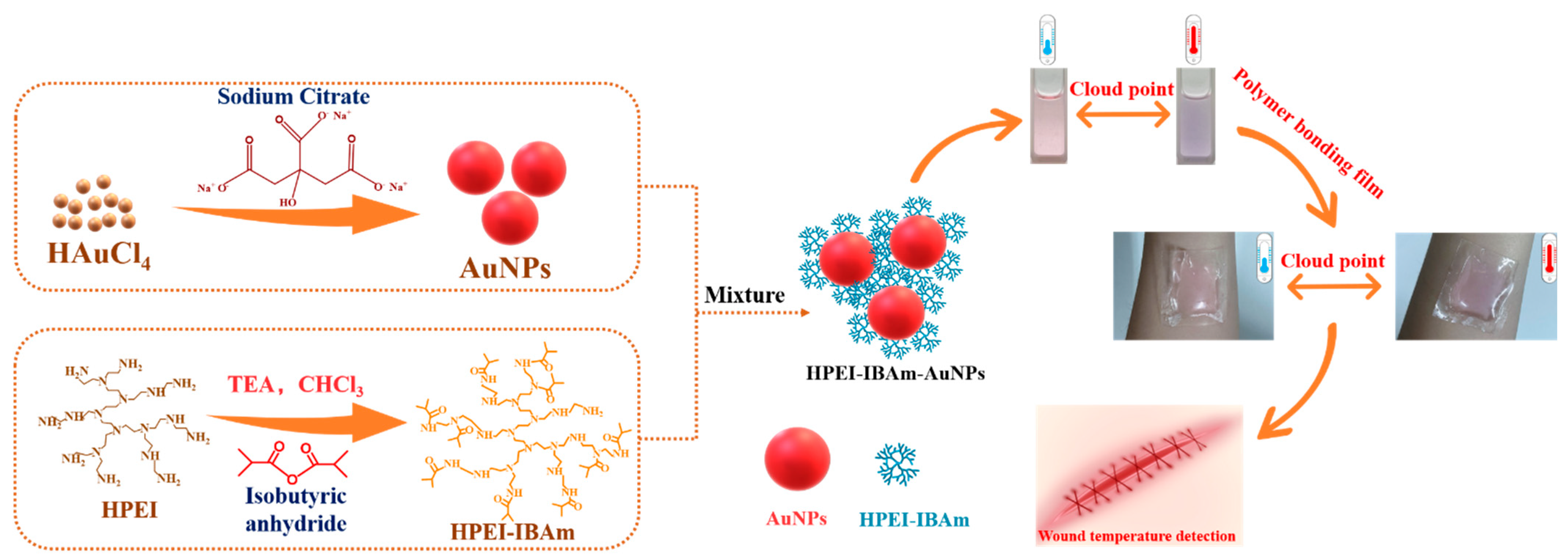 Sensors 24 07124 sch002