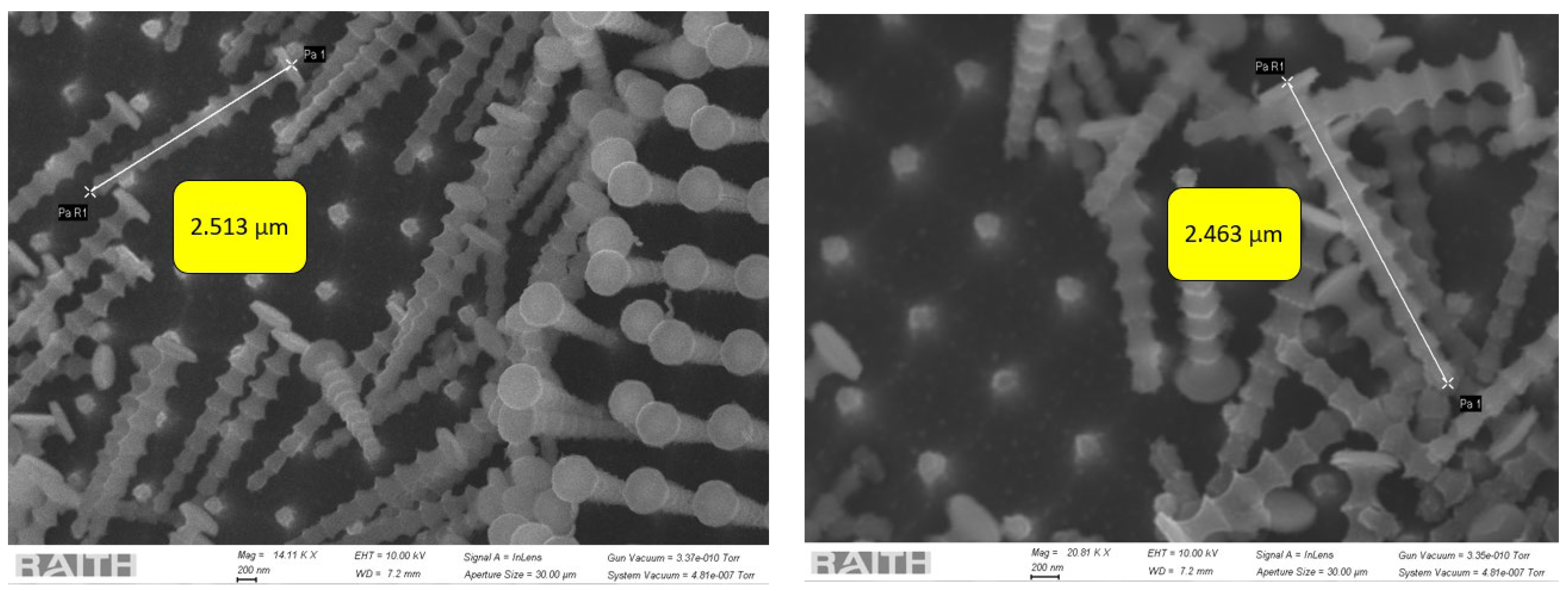 Sensors 24 07144 g002