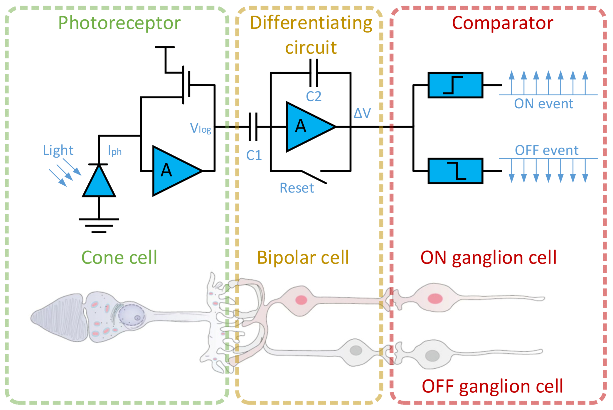 Sensors 24 07430 g001