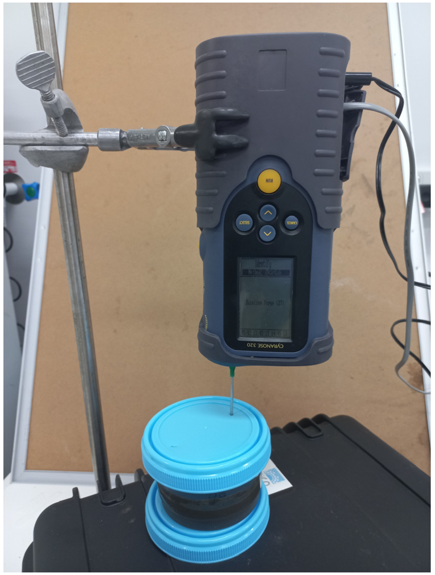 Sensors 24 07443 g001