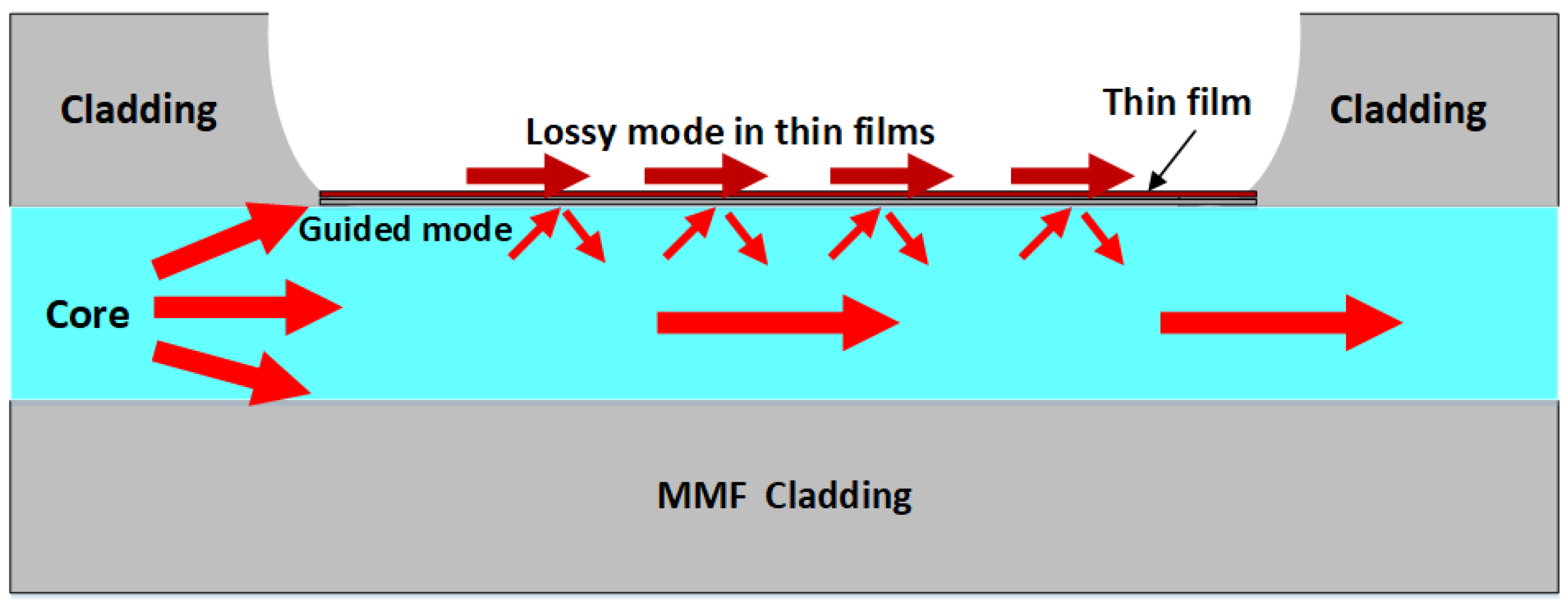 Sensors 24 07474 g003