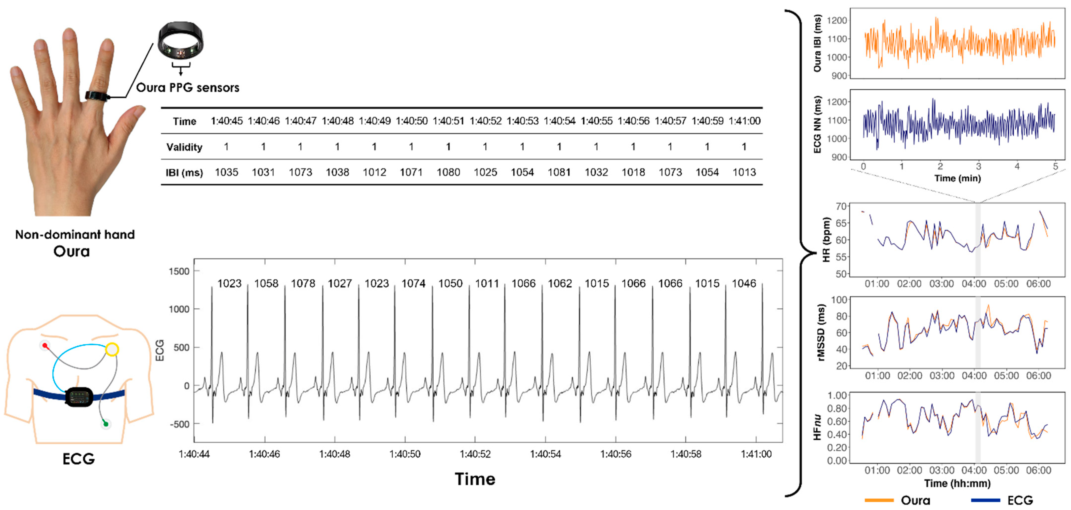 Sensors 24 07475 g001