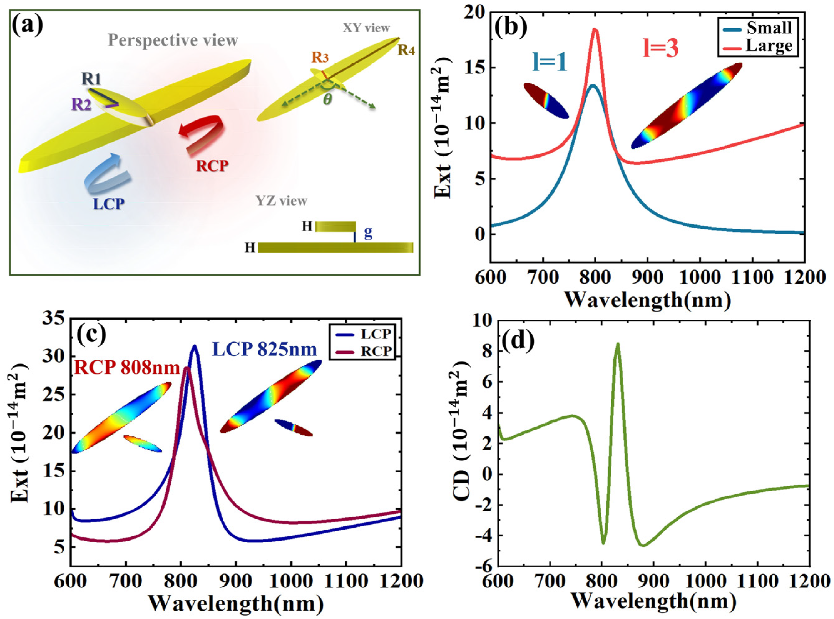 Sensors 24 07517 g001