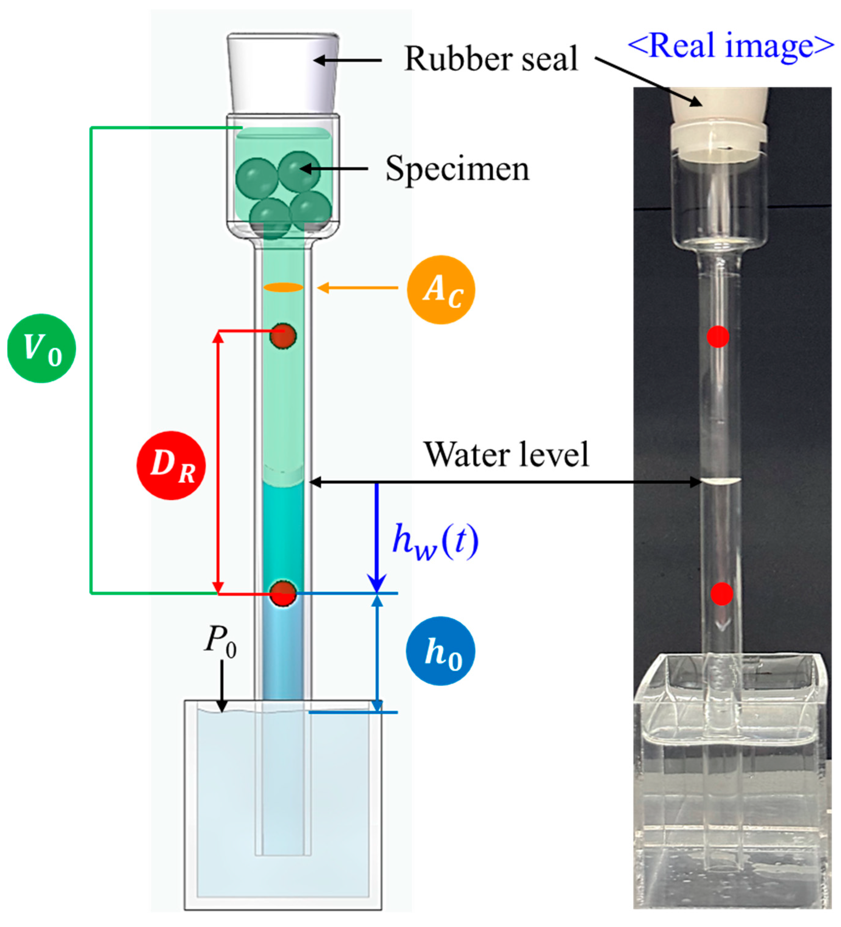 Sensors 24 07699 g002