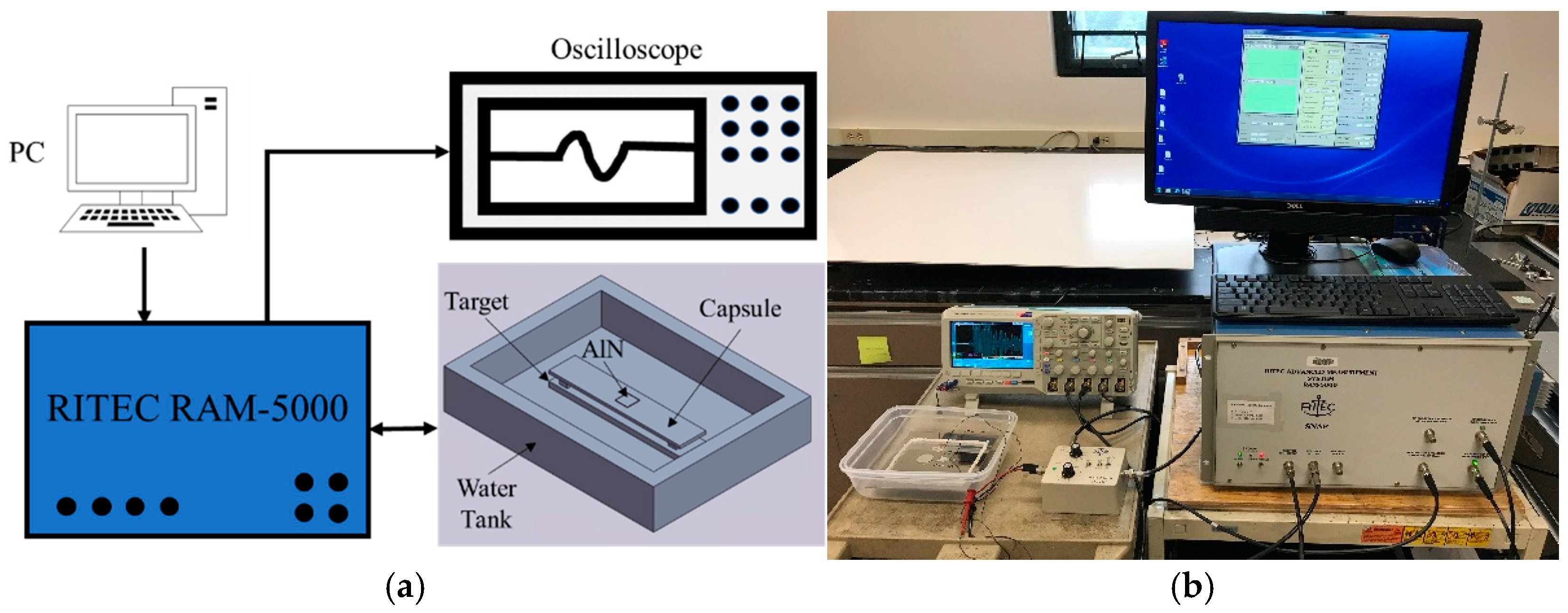 Sensors 24 07748 g008