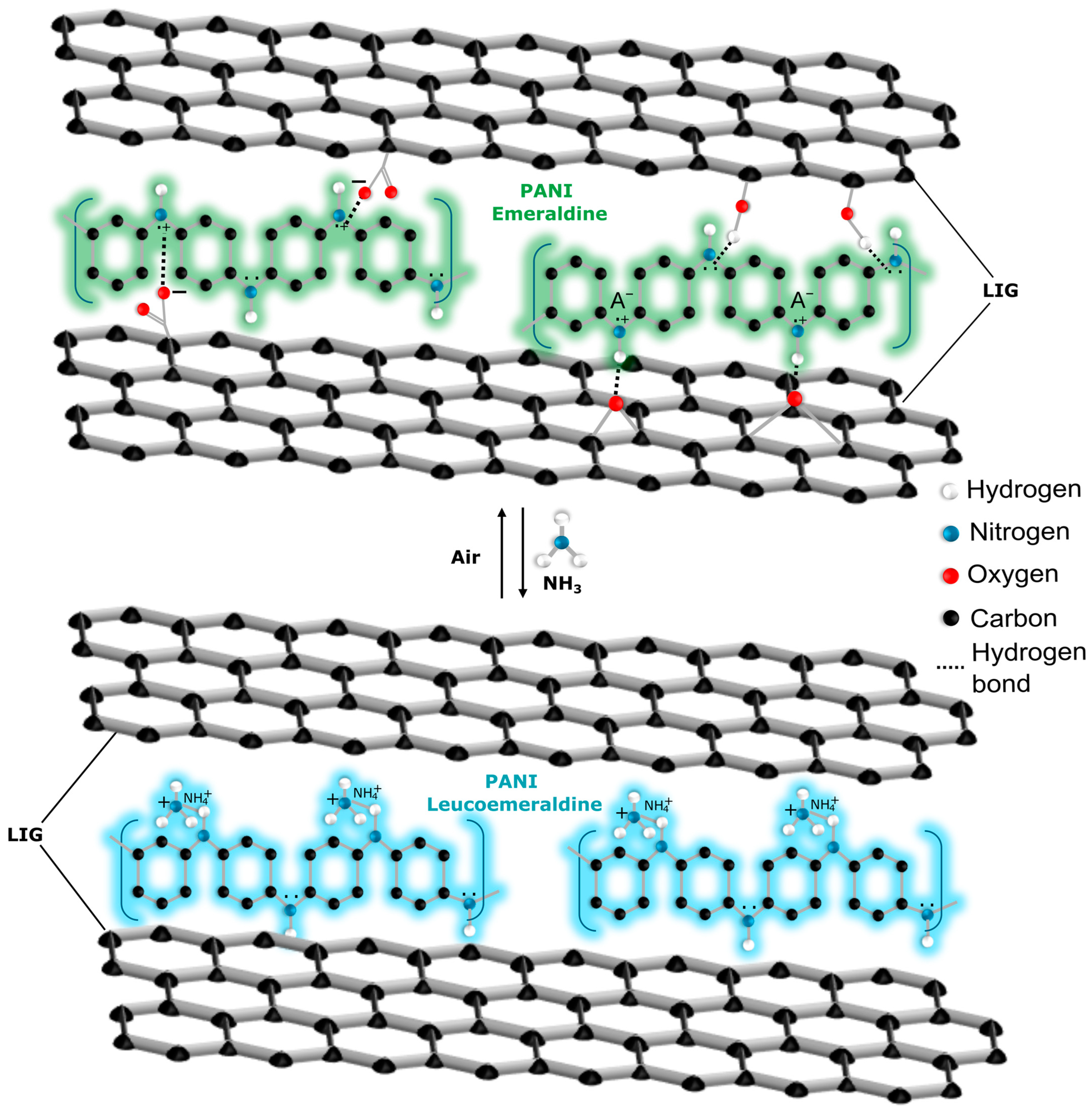 Sensors 24 07832 g008