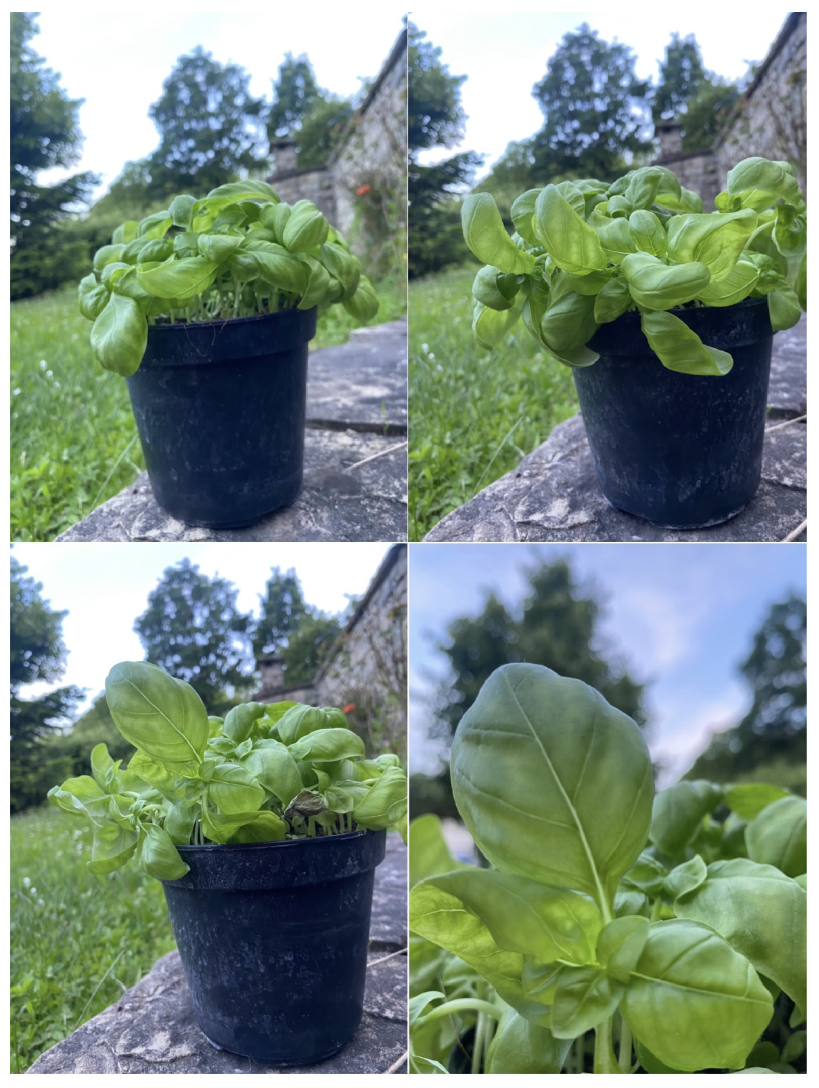 Sensors 24 08088 g005