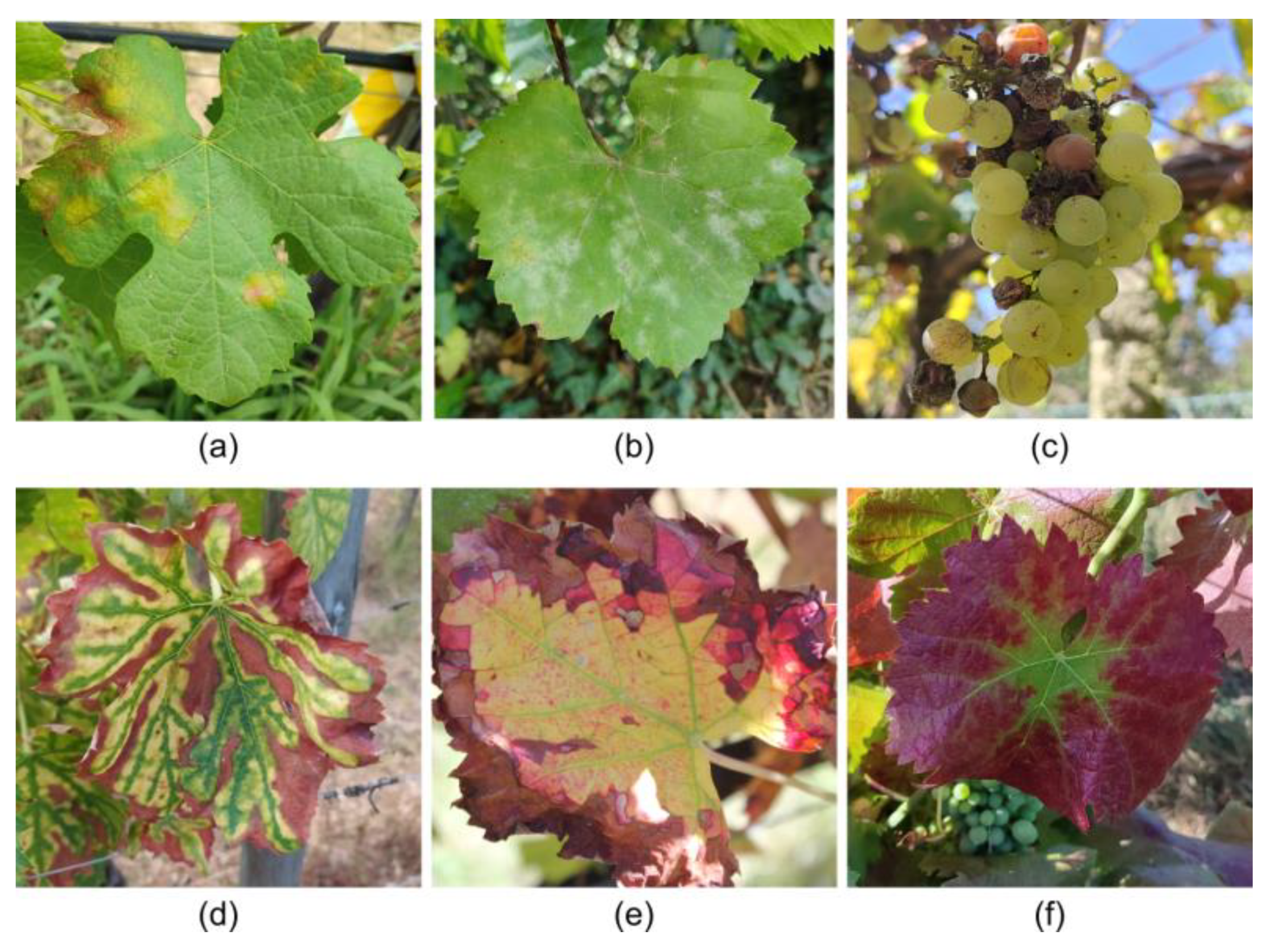 Sensors 24 08172 g003