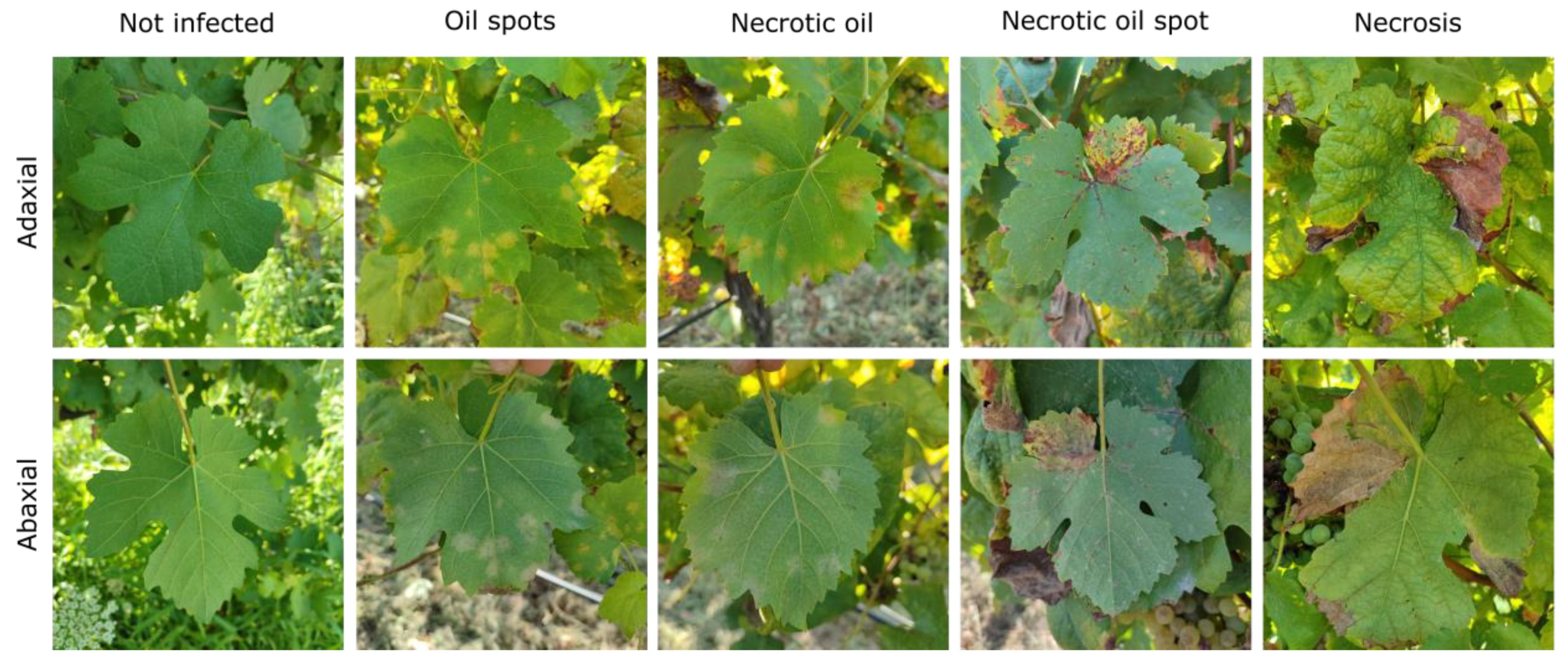 Sensors 24 08172 g008