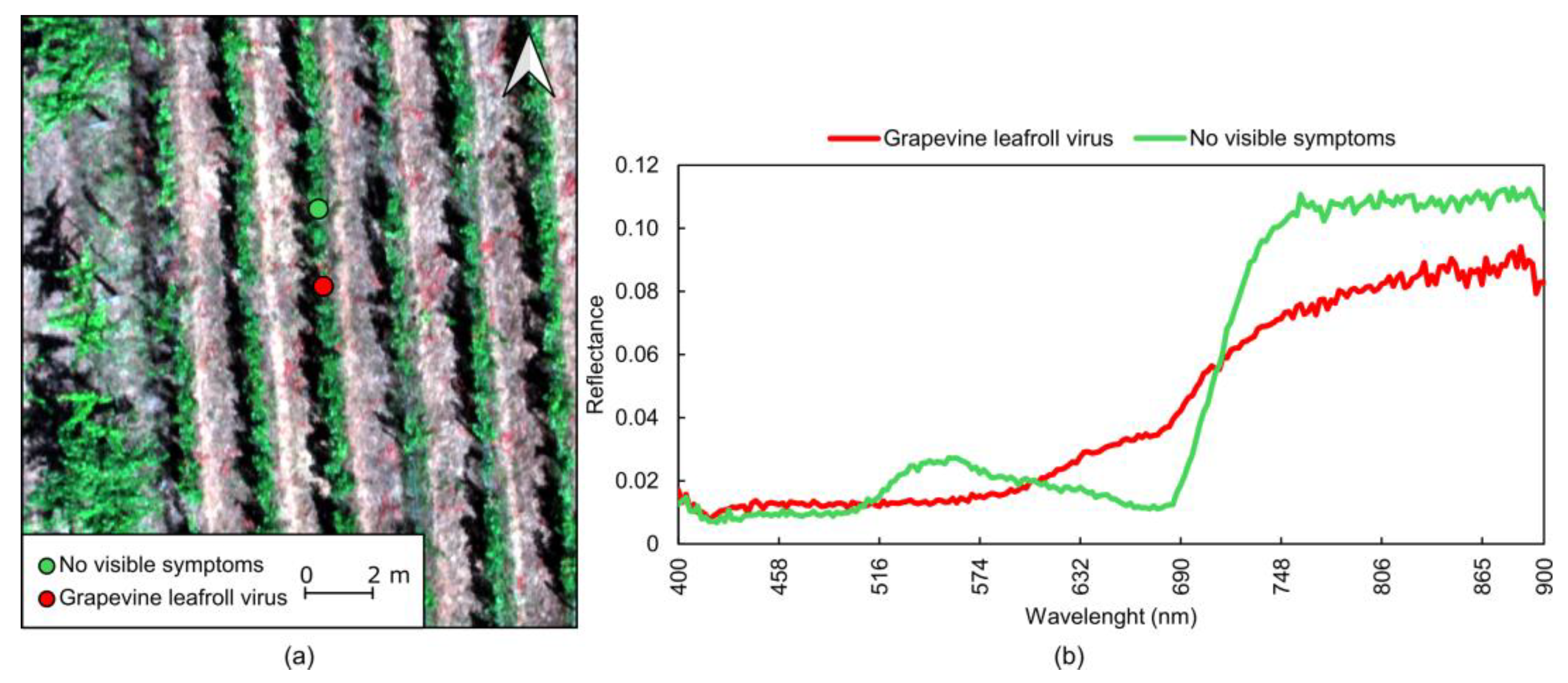 Sensors 24 08172 g012