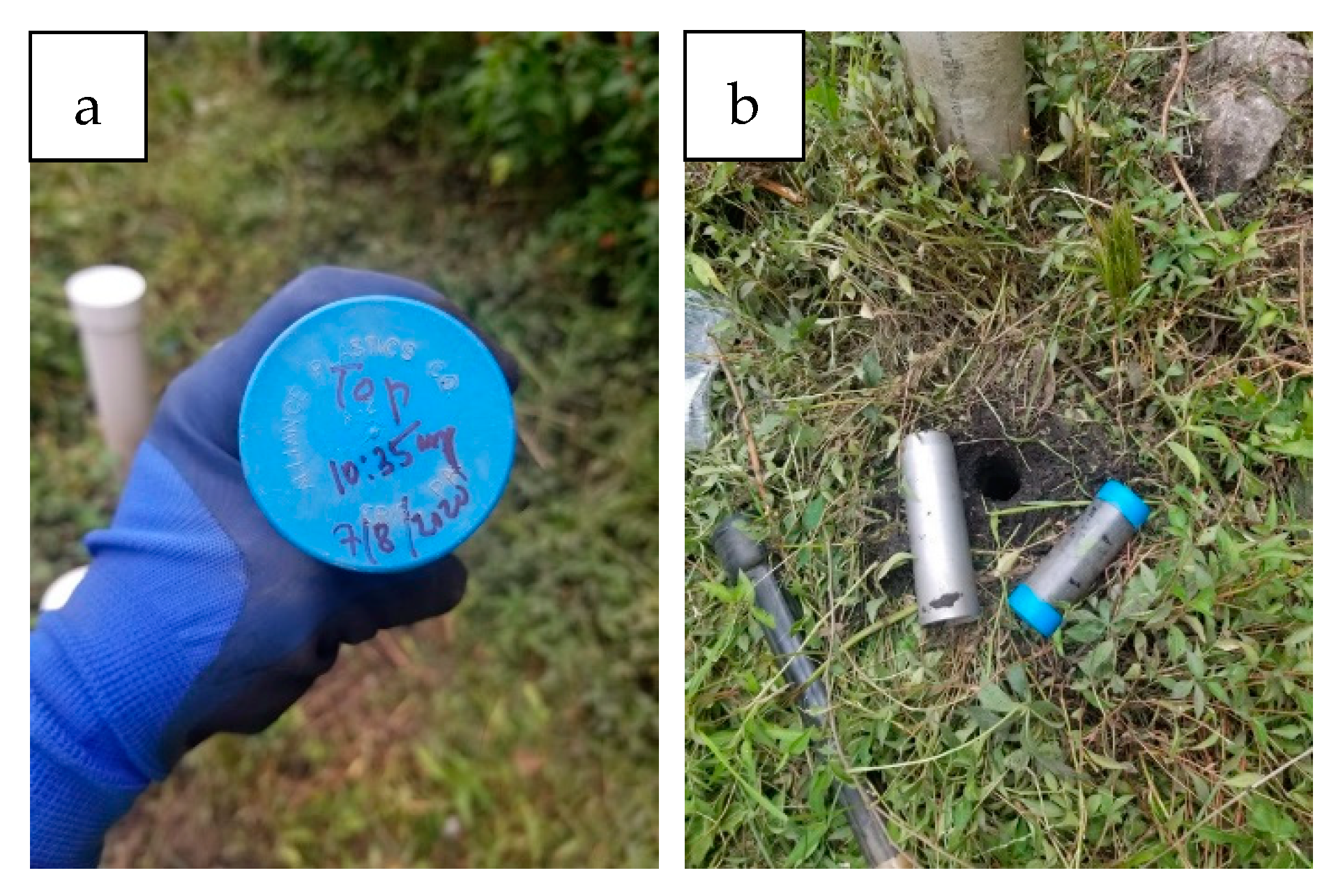 Sensors 25 00027 g003