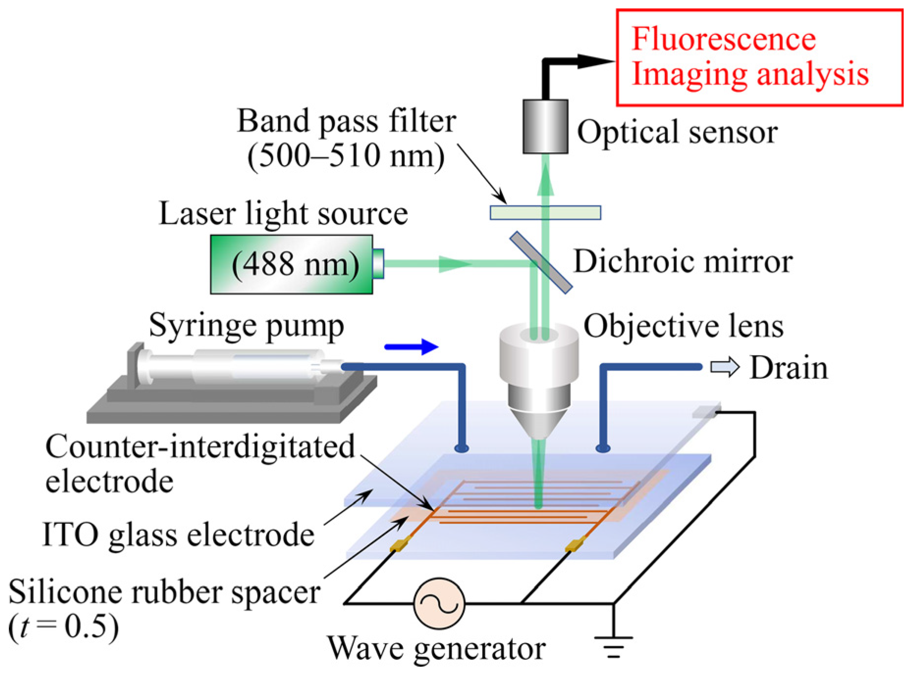 Sensors 25 00185 g005