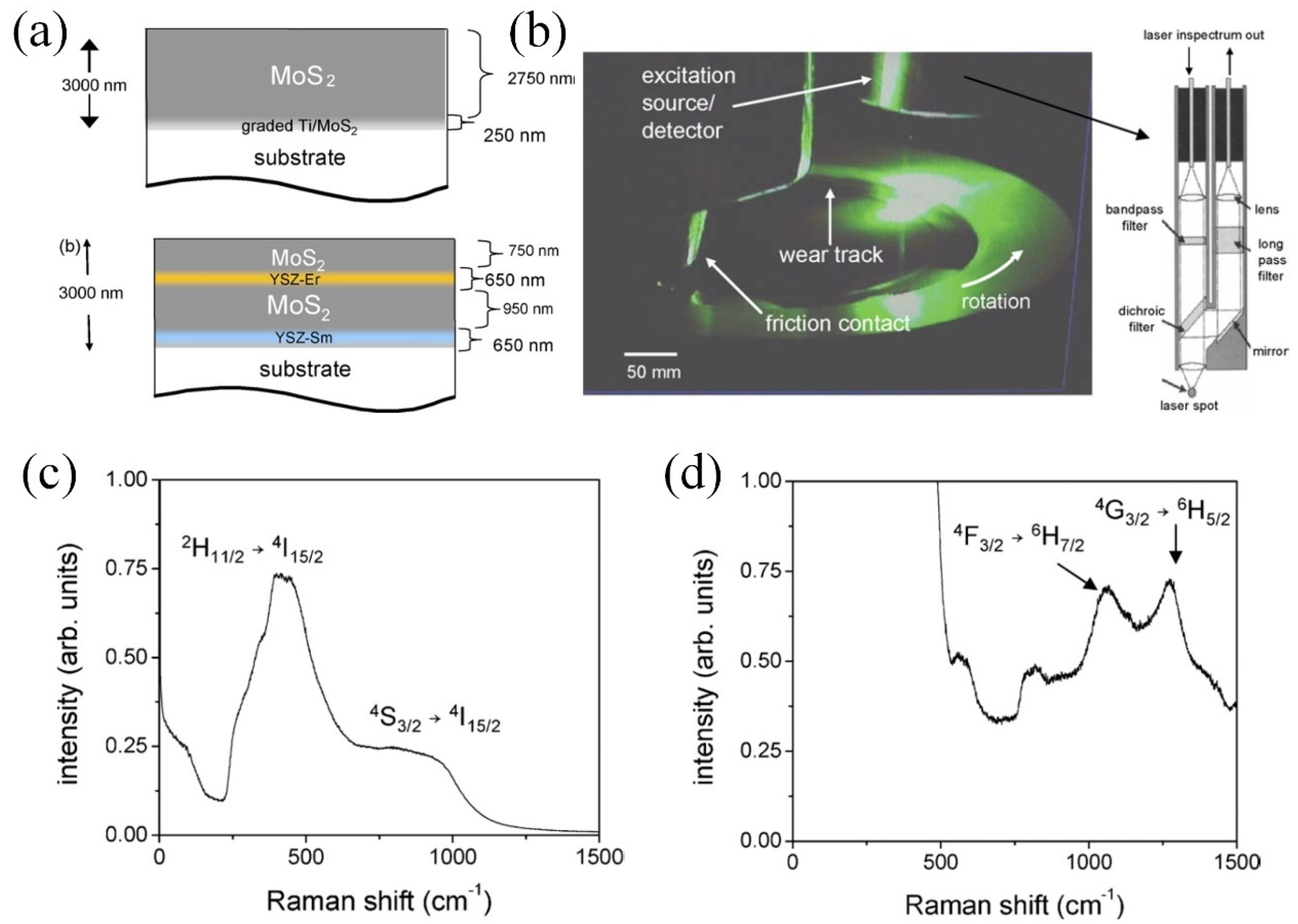 Sensors 25 00437 g006