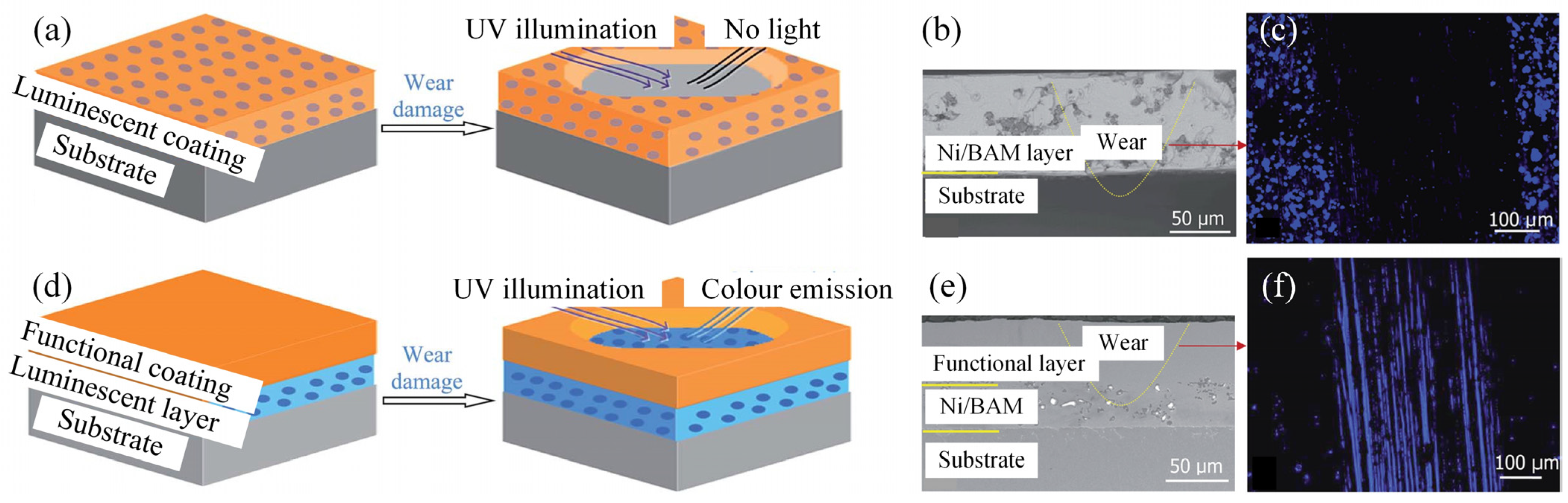 Sensors 25 00437 g007