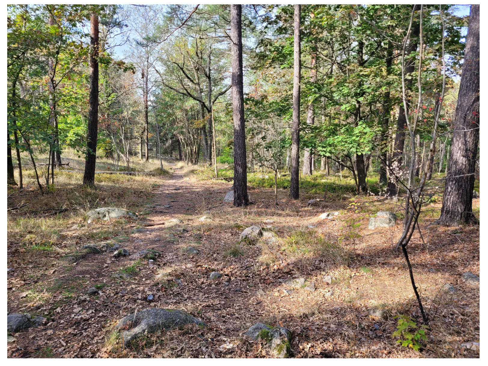 Sensors 25 00509 g015