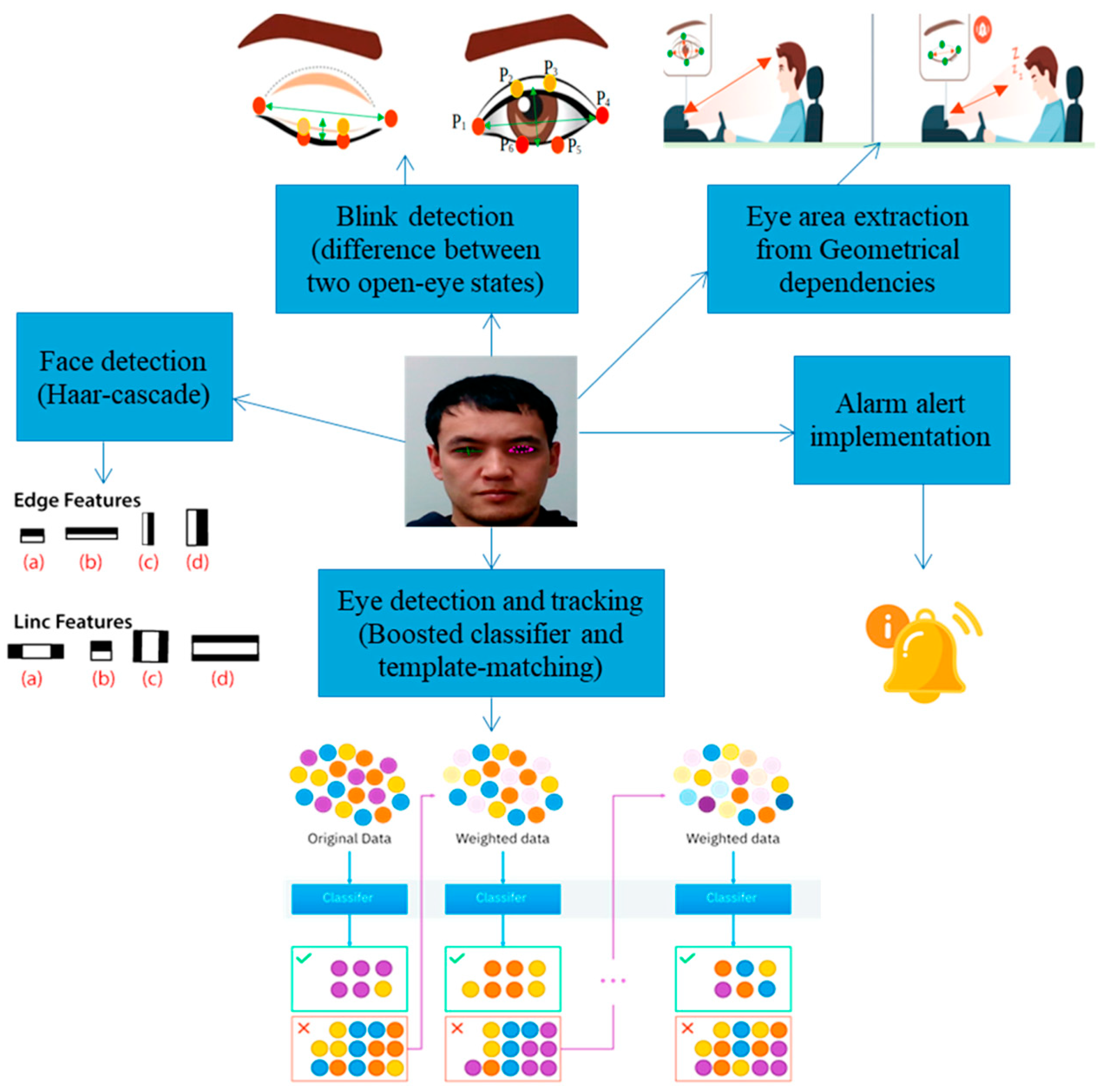Sensors 25 00562 g007