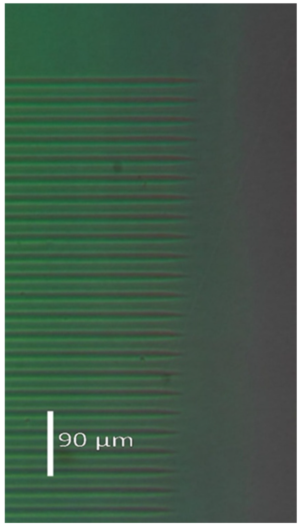 Sensors 25 00804 g007