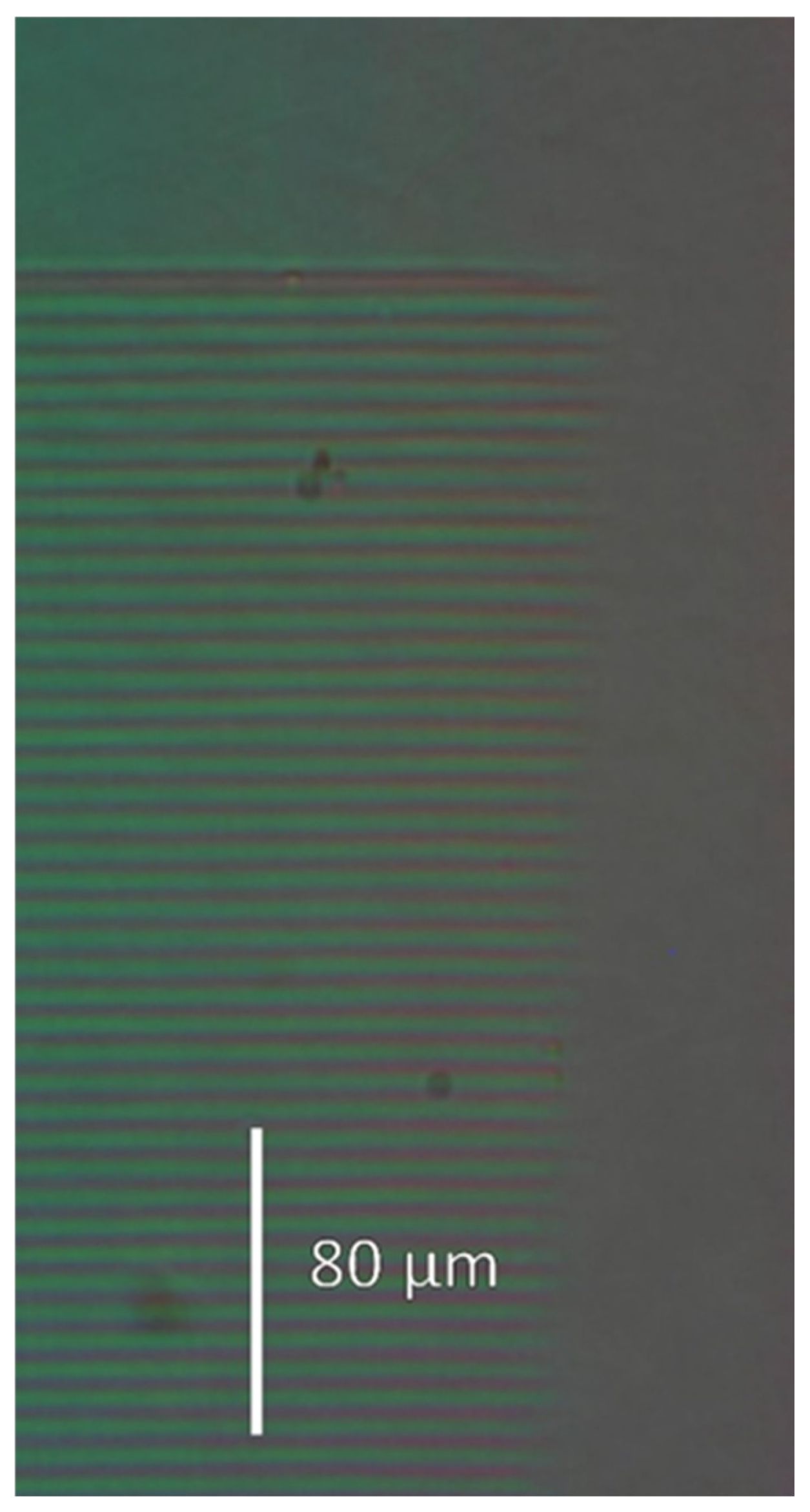 Sensors 25 00804 g009