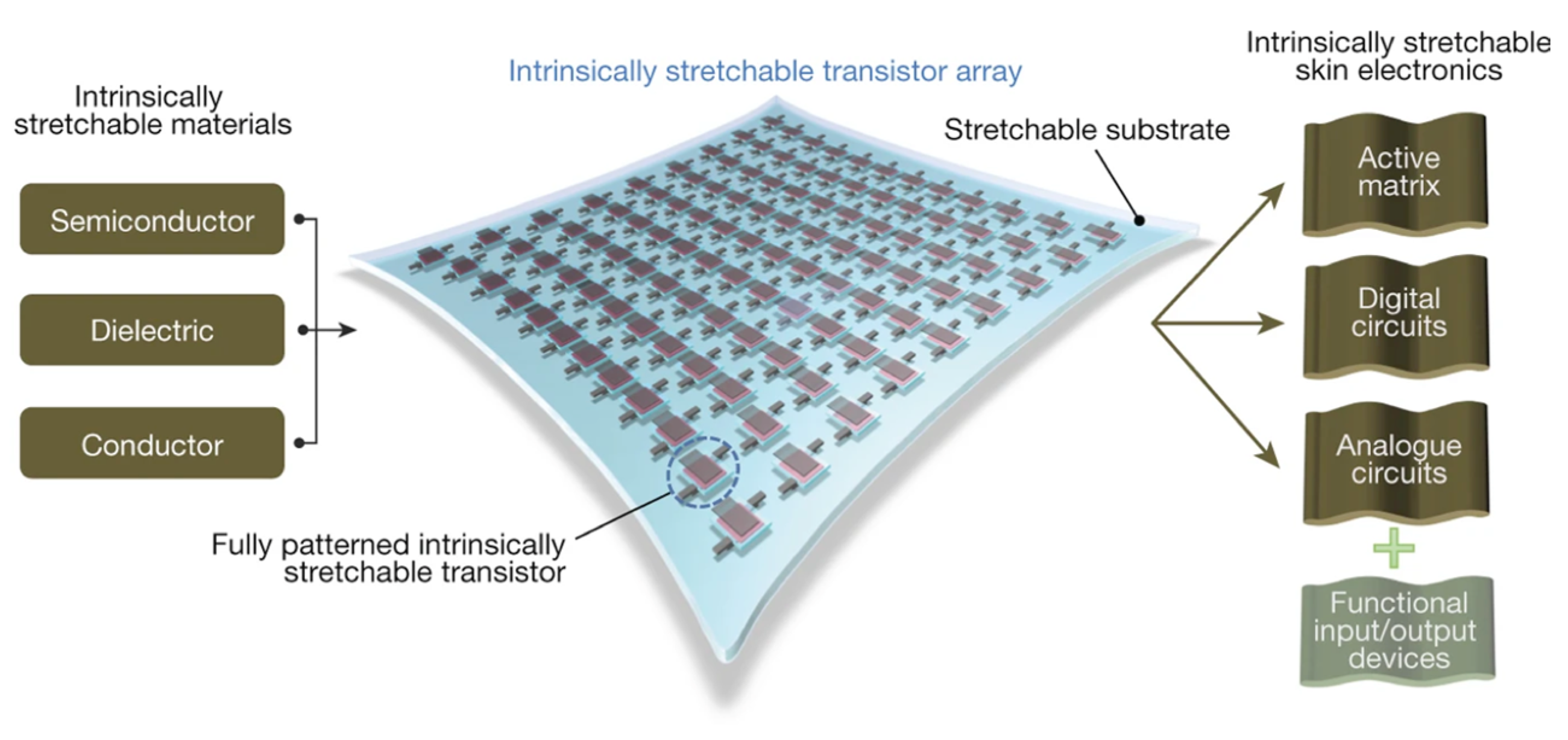 Sensors 25 00925 g004