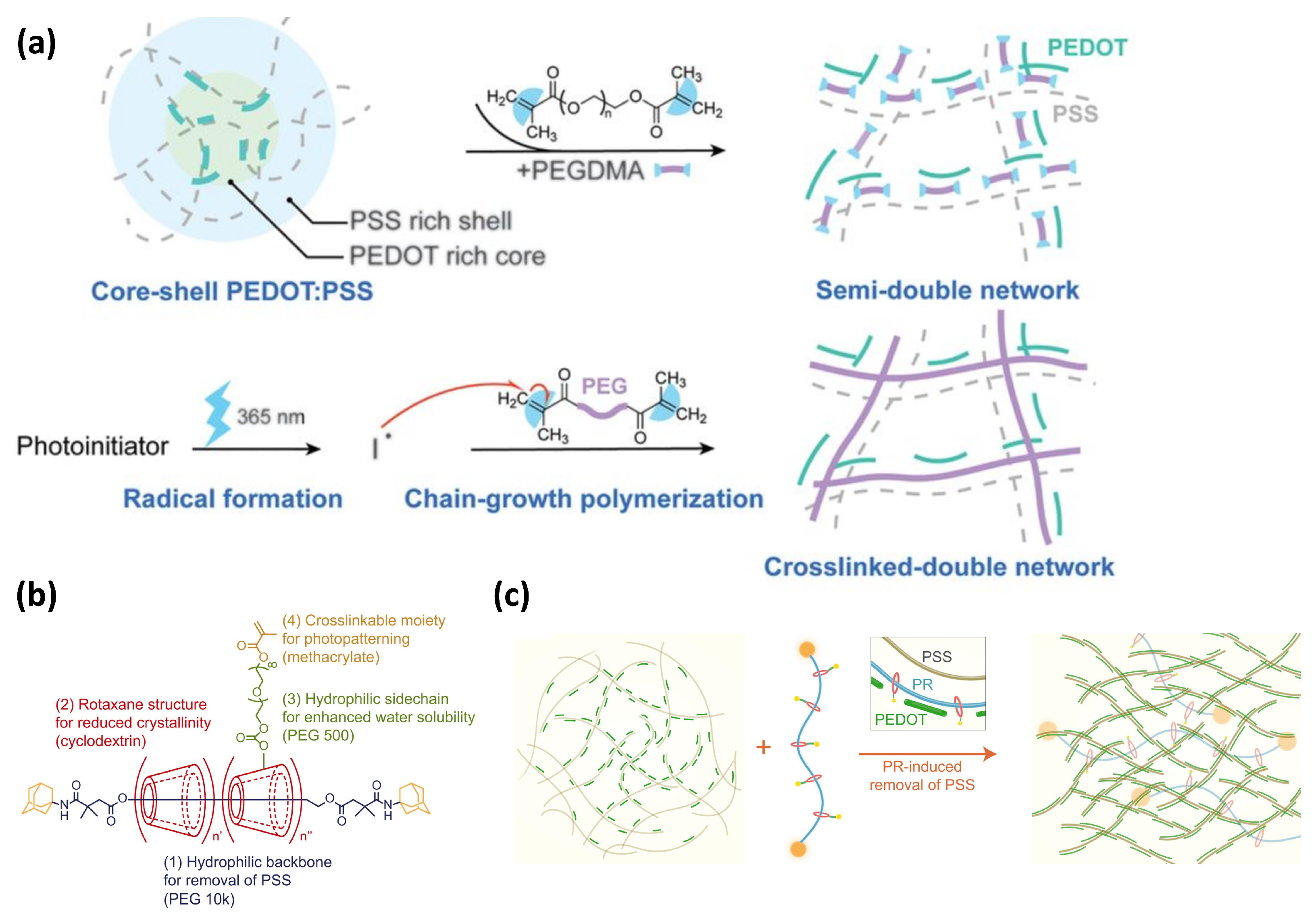 Sensors 25 00925 g006