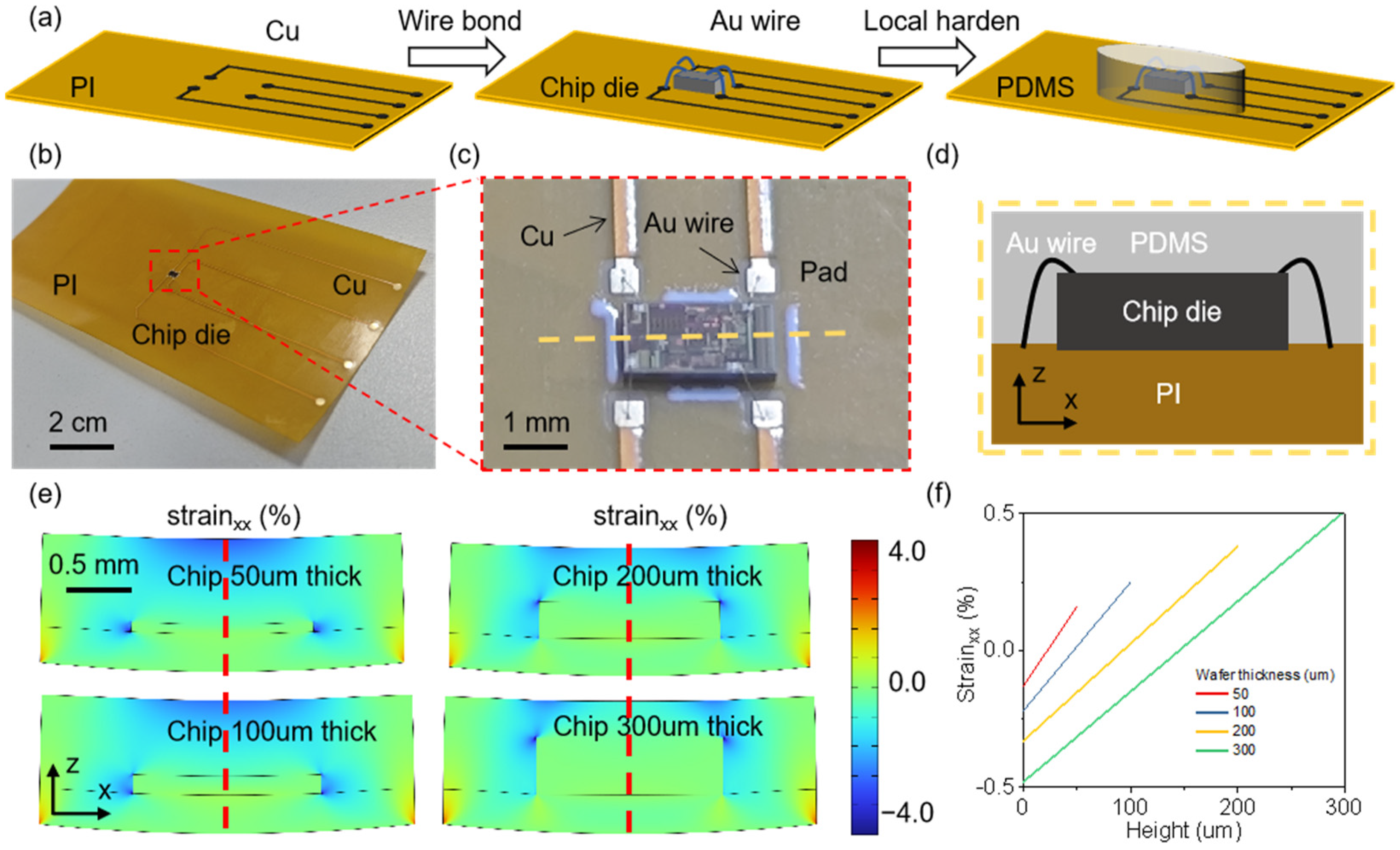 Sensors 25 00927 g001