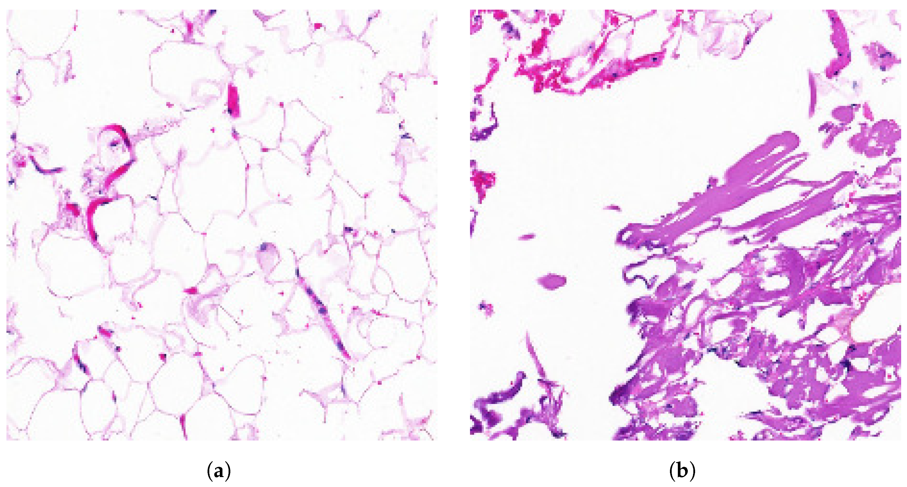 Sensors 25 01350 g003