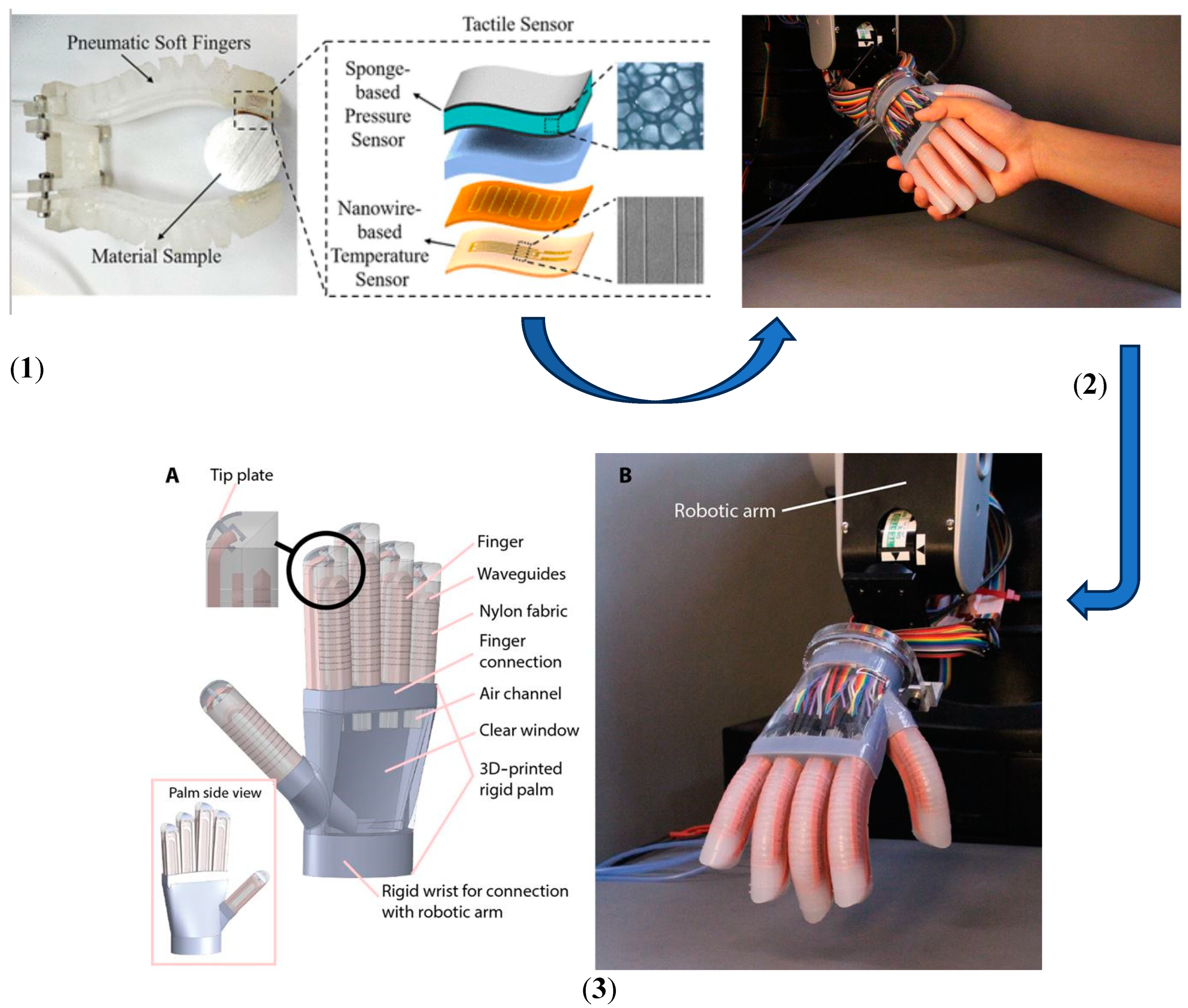 Sensors 25 01508 g008