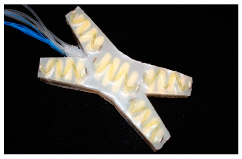 Sensors 25 01508 i002