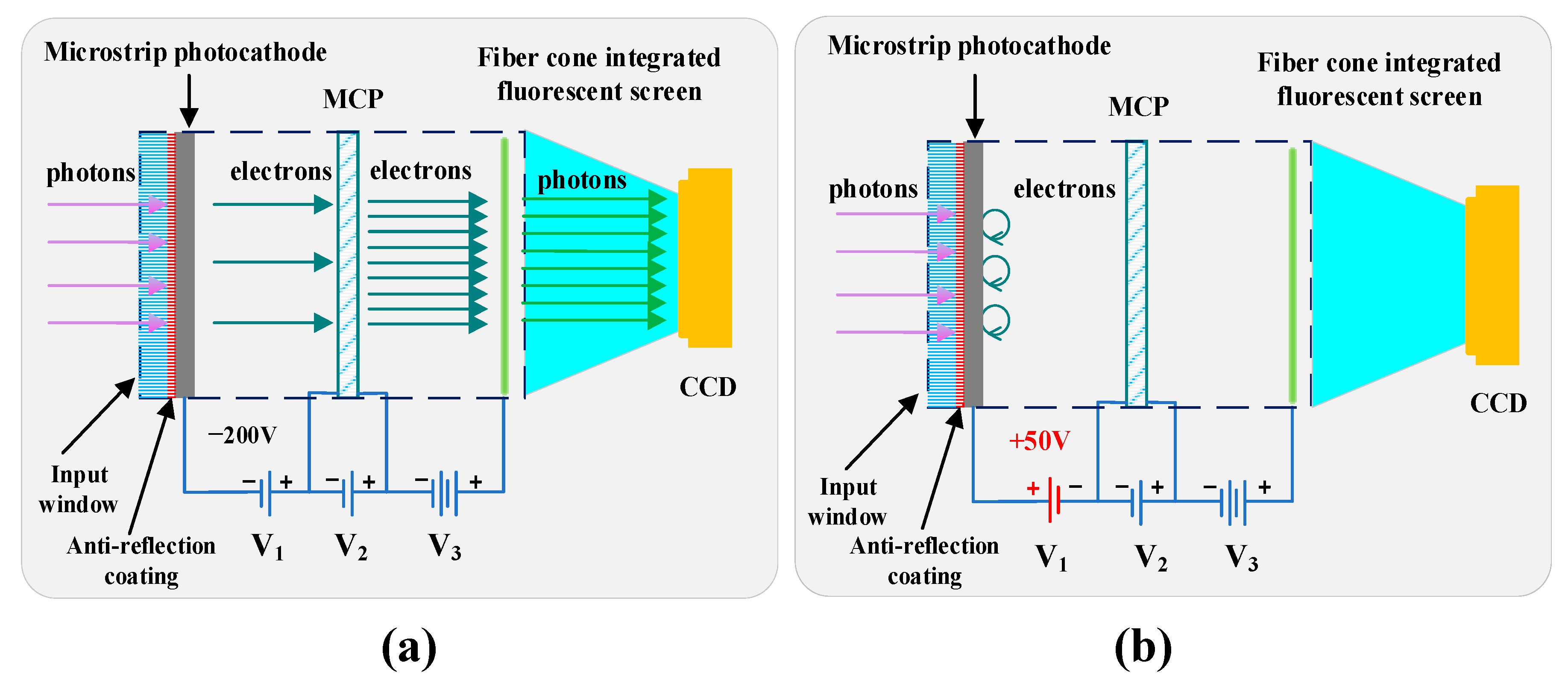 Sensors 25 01528 g001 Sensors 25 01528 g001