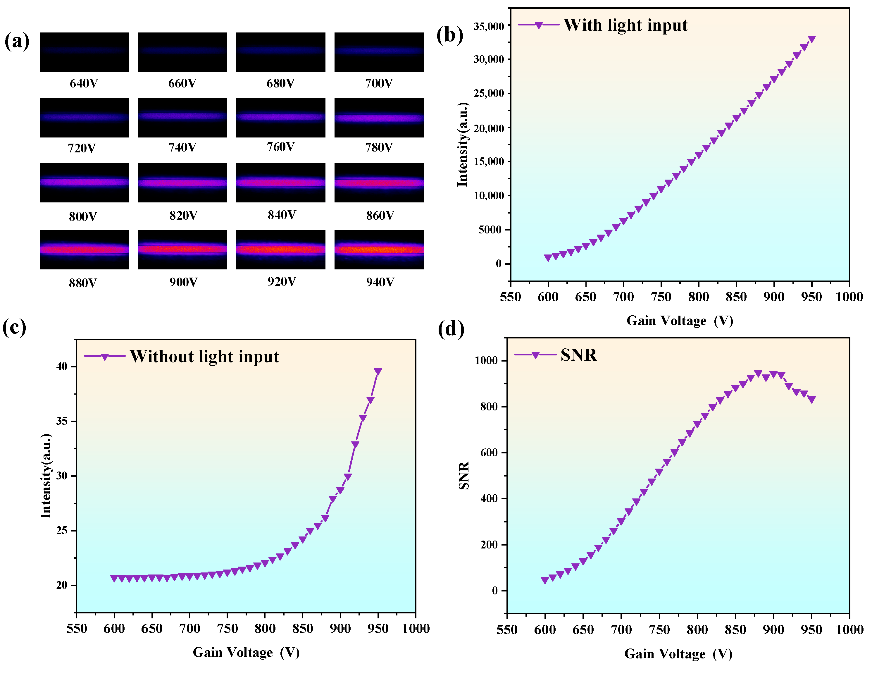 Sensors 25 01528 g010 Sensors 25 01528 g010