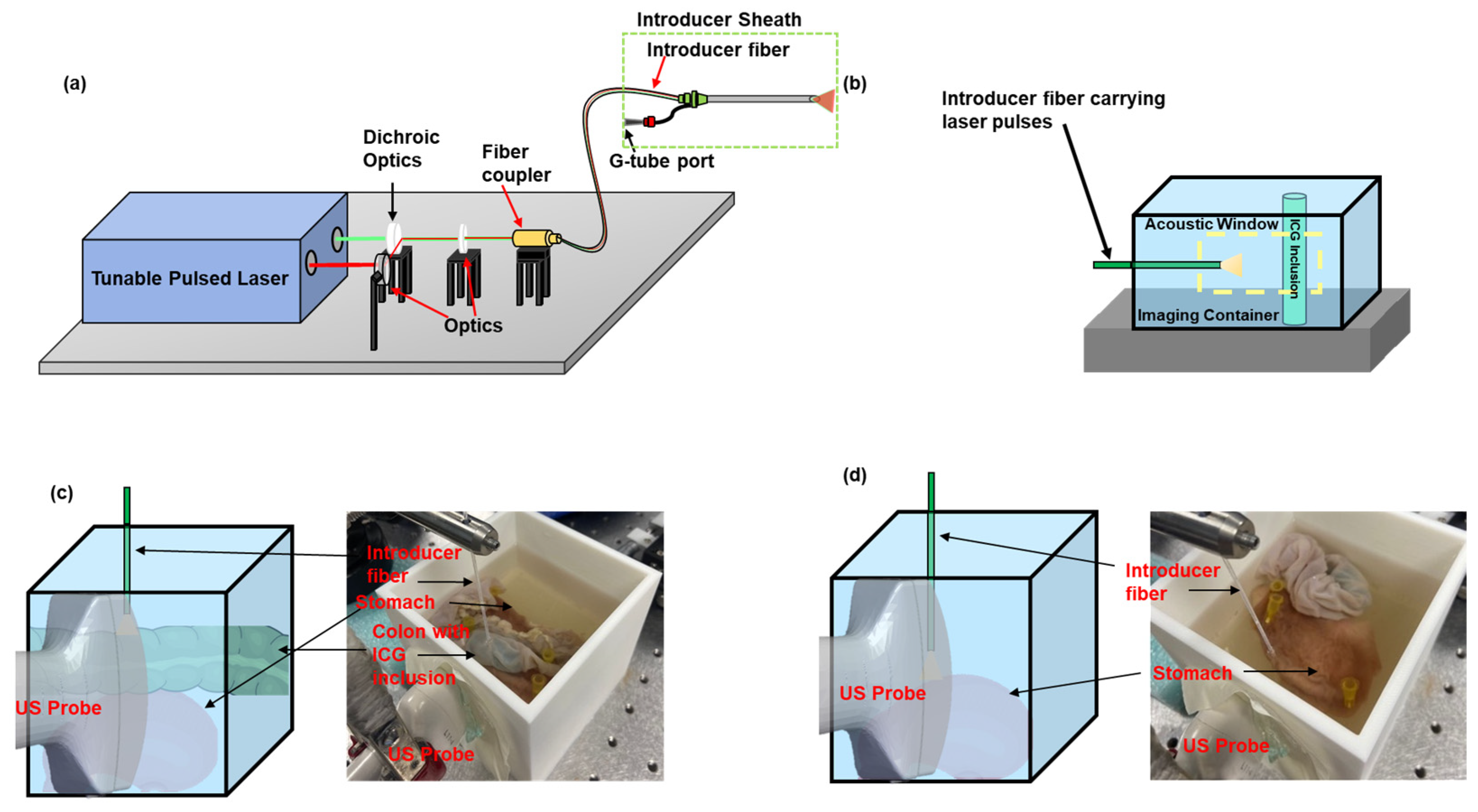 Sensors 25 01597 g002