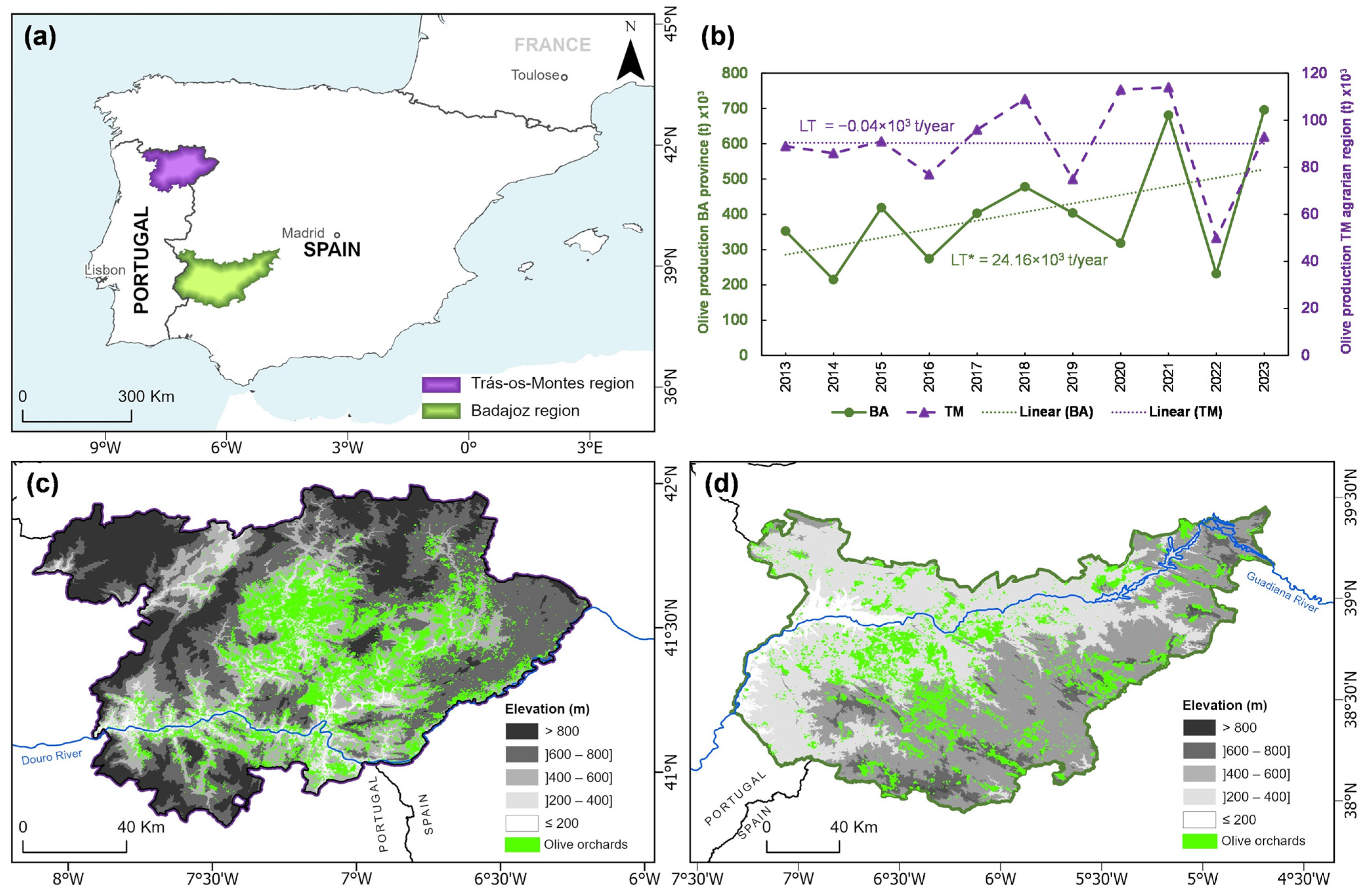 Sensors 25 01894 g001