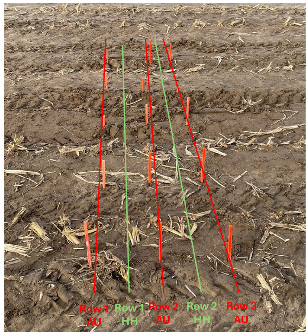 Sensors 25 01919 g009