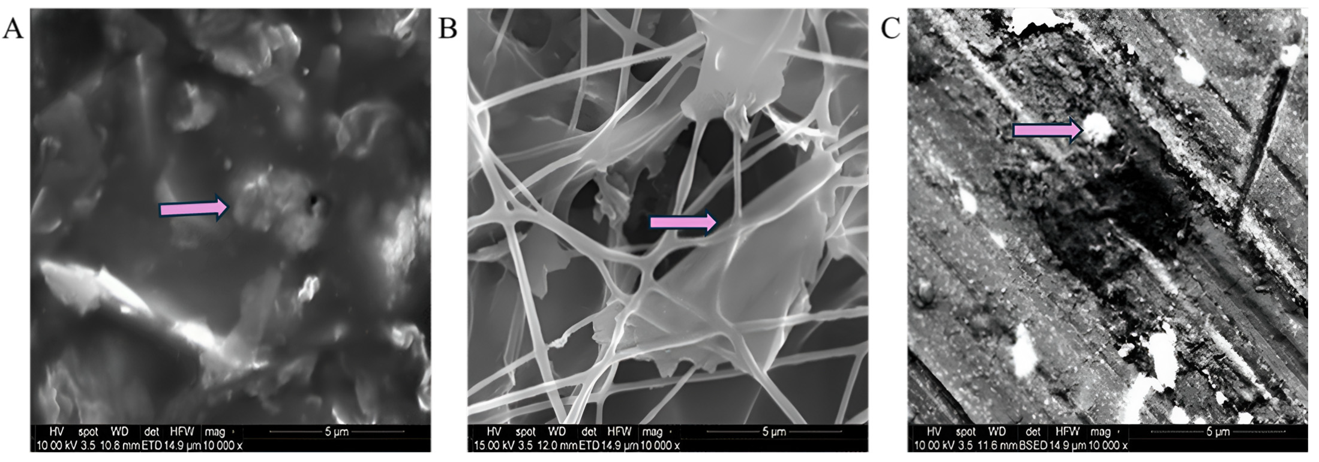 Sensors 25 02000 g007