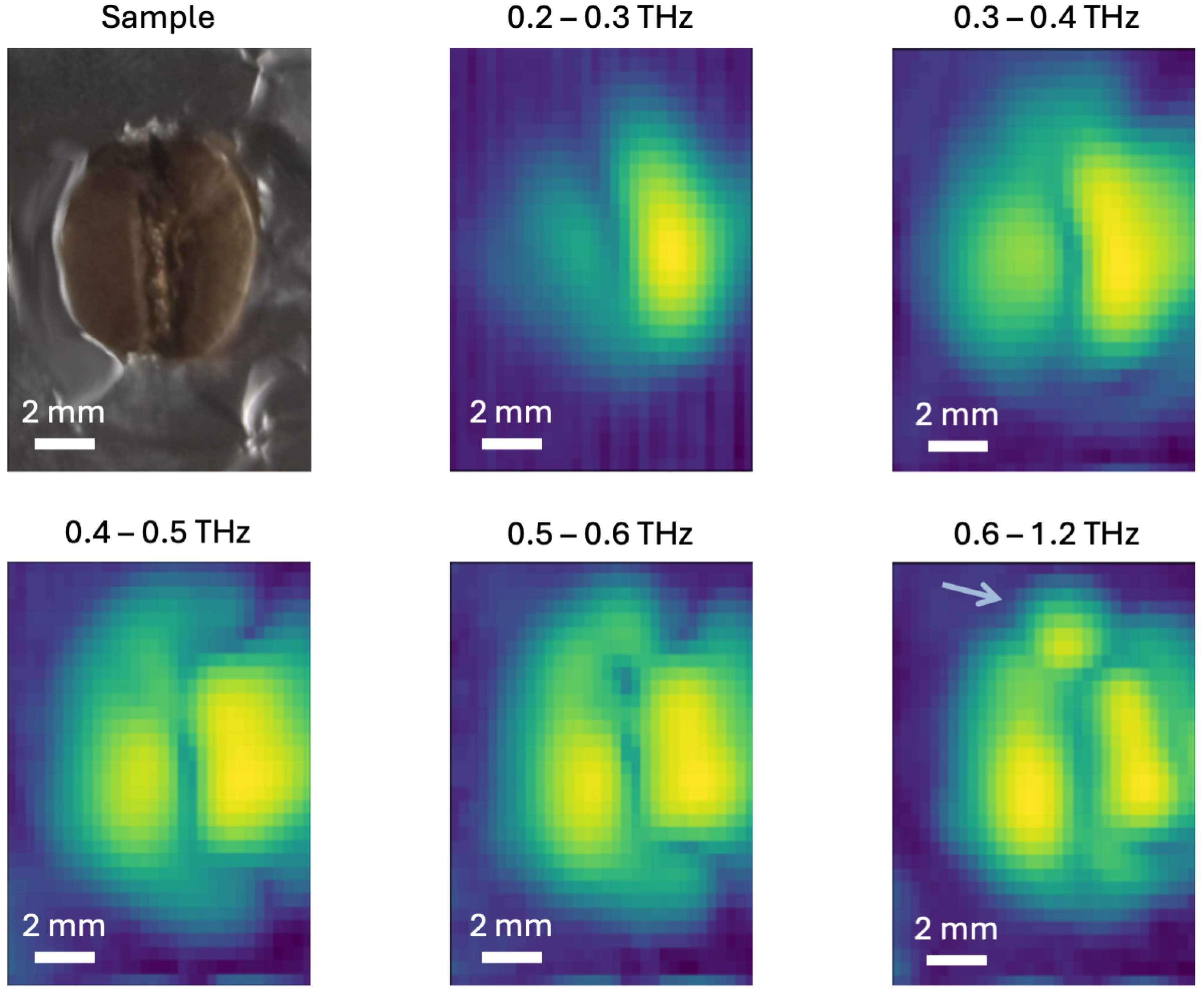 Sensors 25 02096 g005