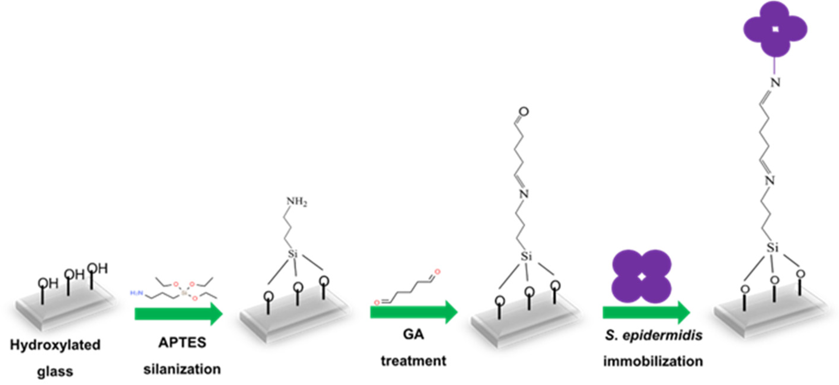 Sensors 25 02150 g001