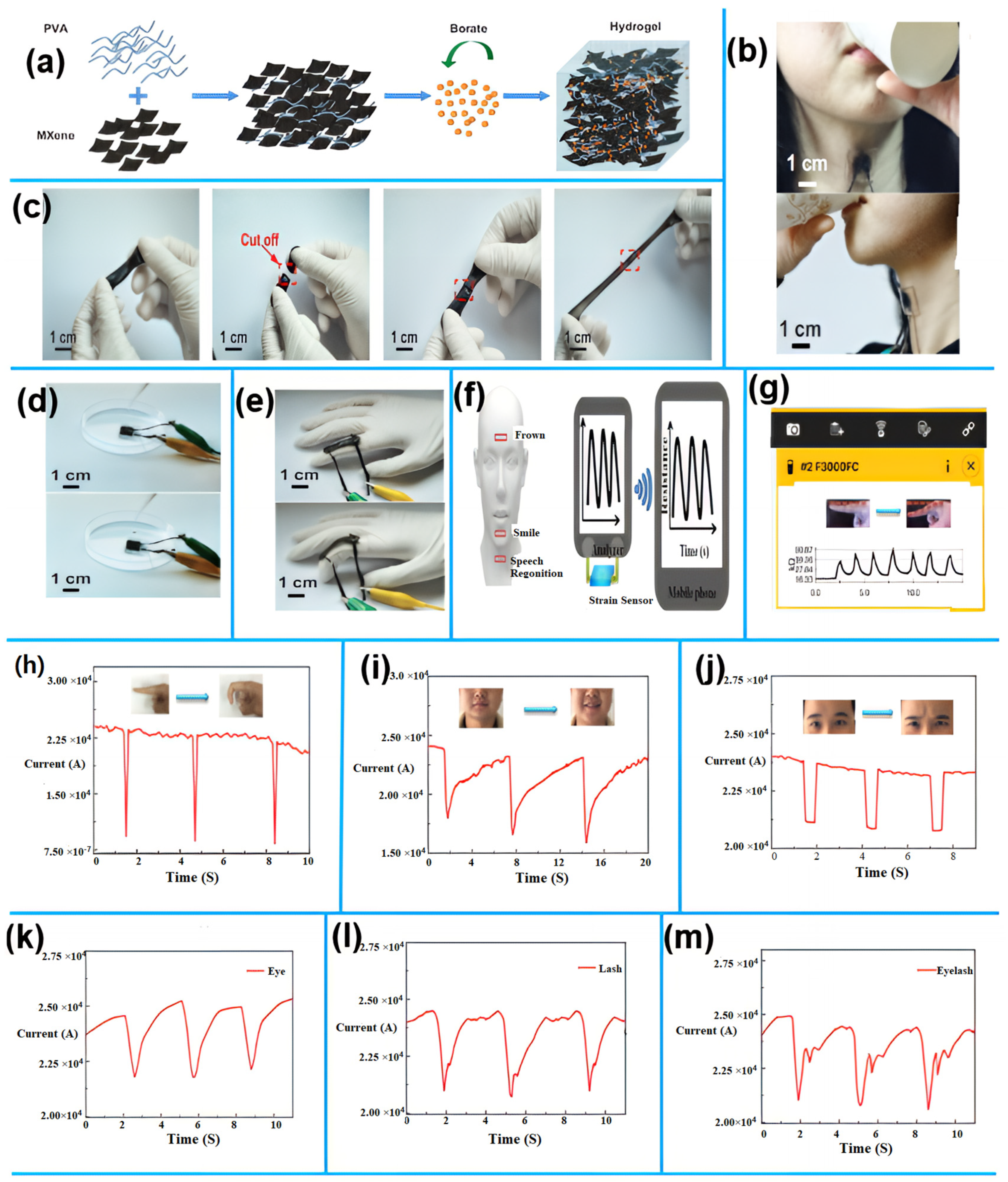 Sensors 25 02248 g008