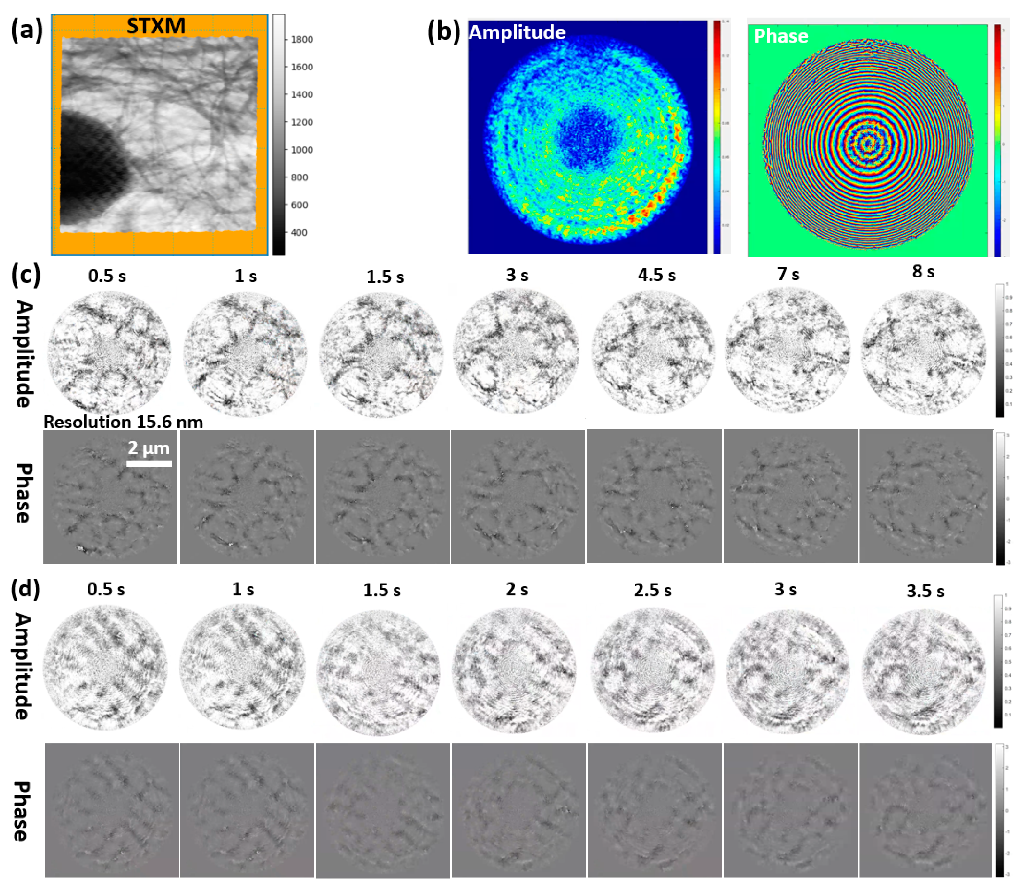 Sensors 25 02323 g010