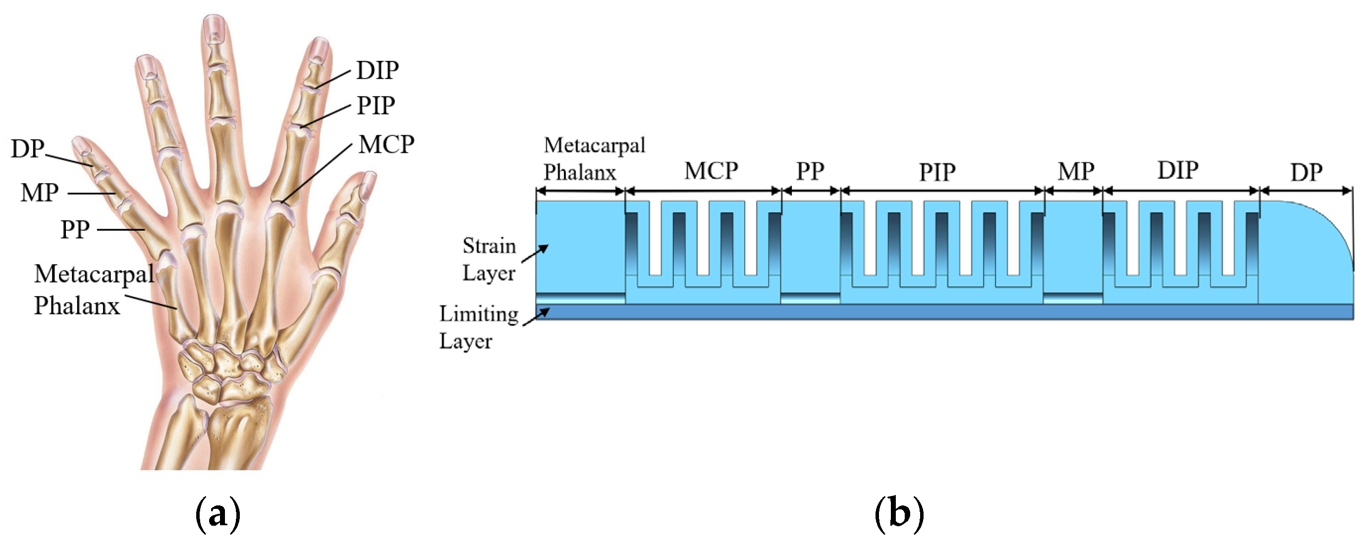 Sensors 25 02363 g001