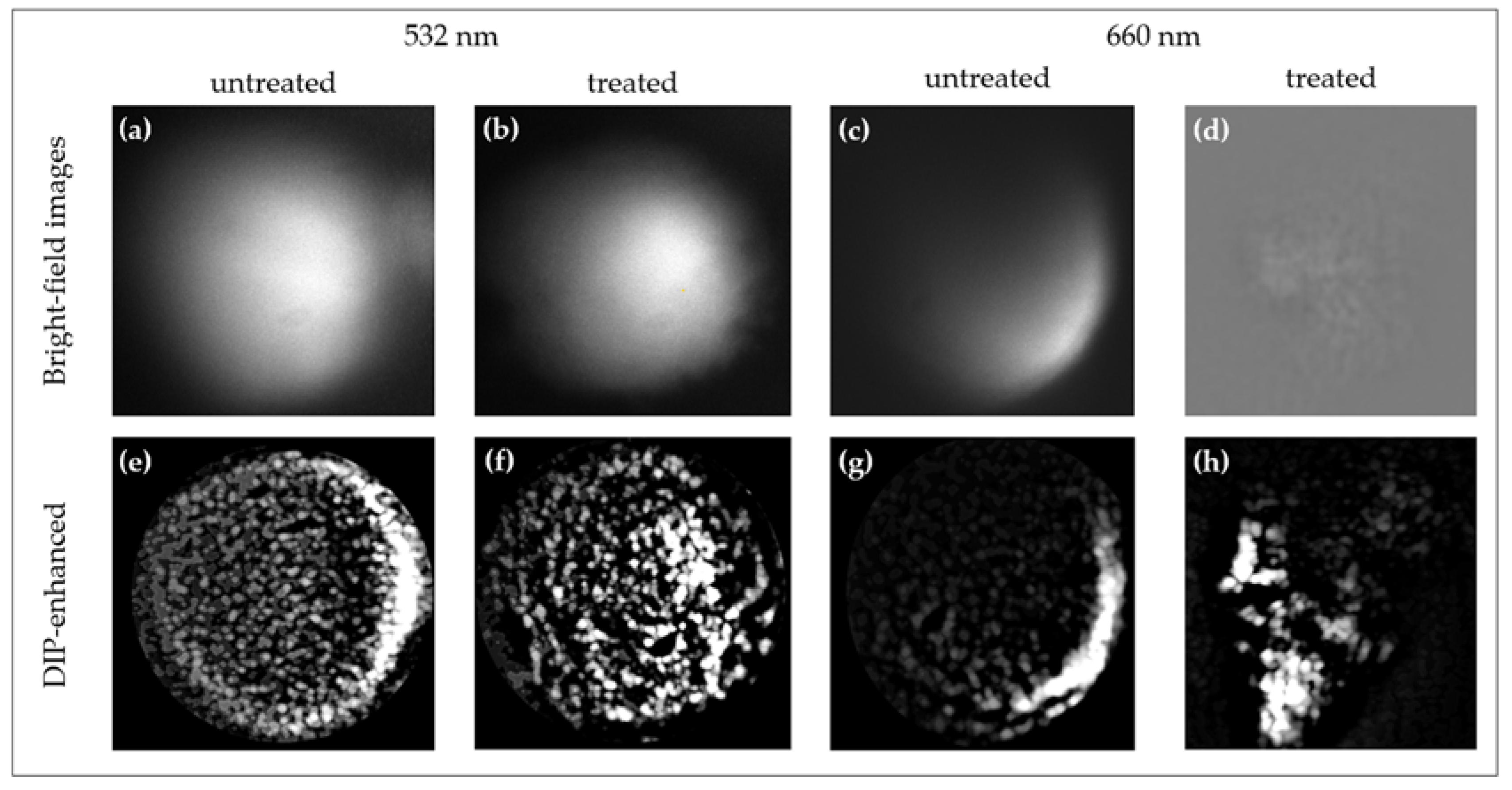 Sensors 25 02386 g005