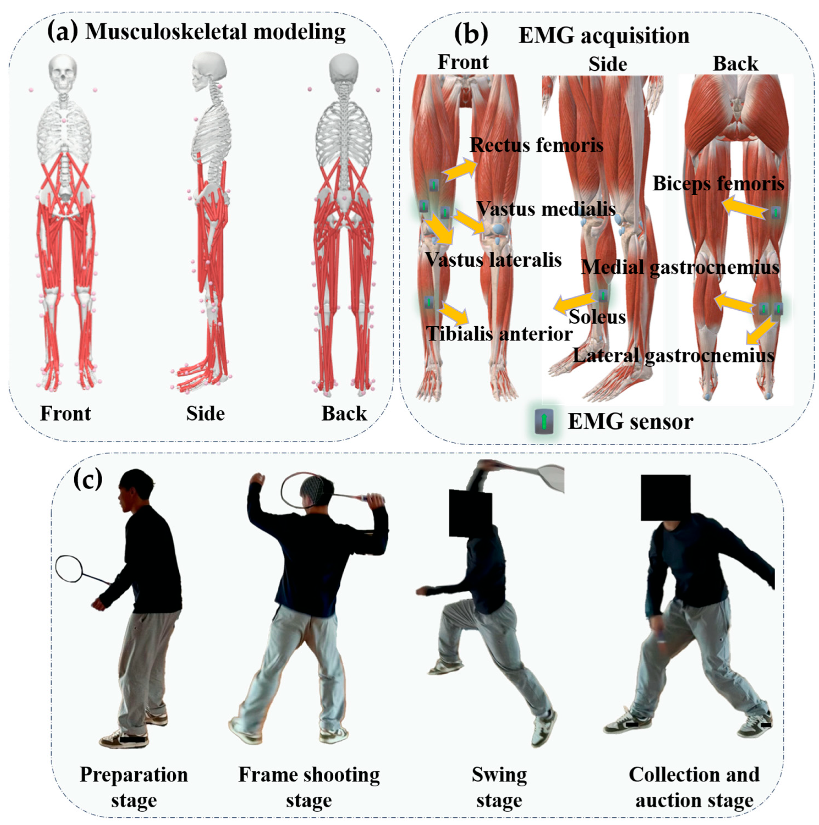 Sensors 25 02536 g001
