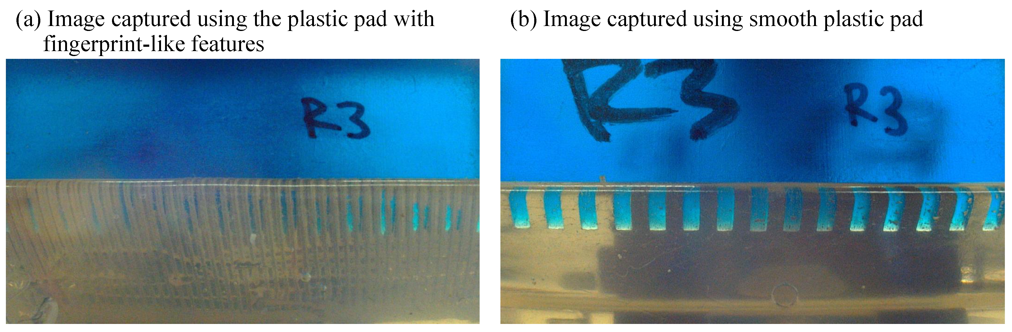 Sensors 25 02598 g005 Sensors 25 02598 g005