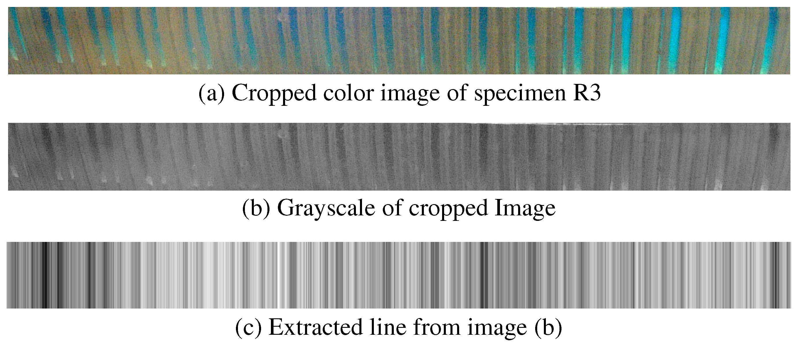 Sensors 25 02598 g006 Sensors 25 02598 g006