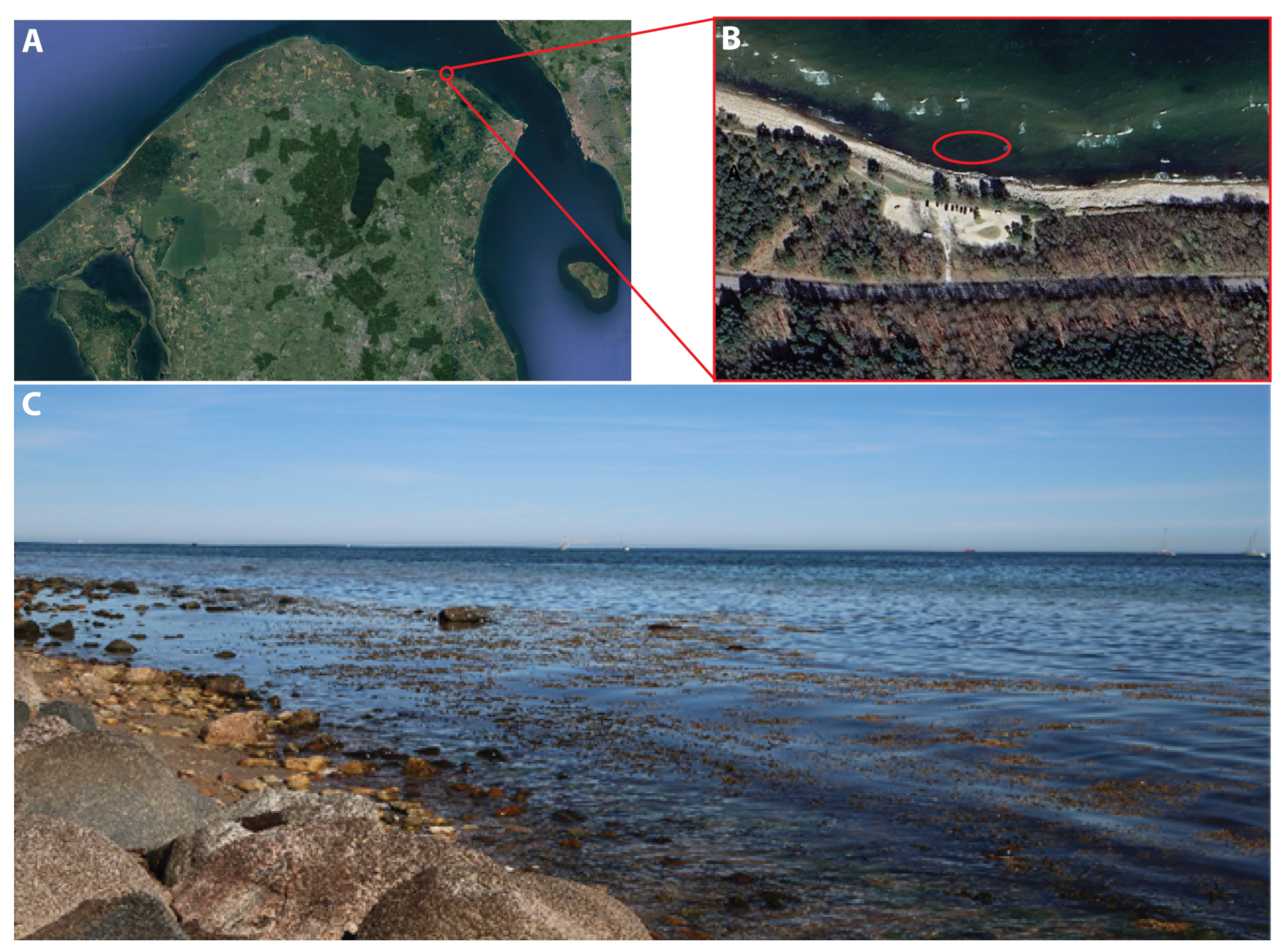 Sensors 25 02652 g004