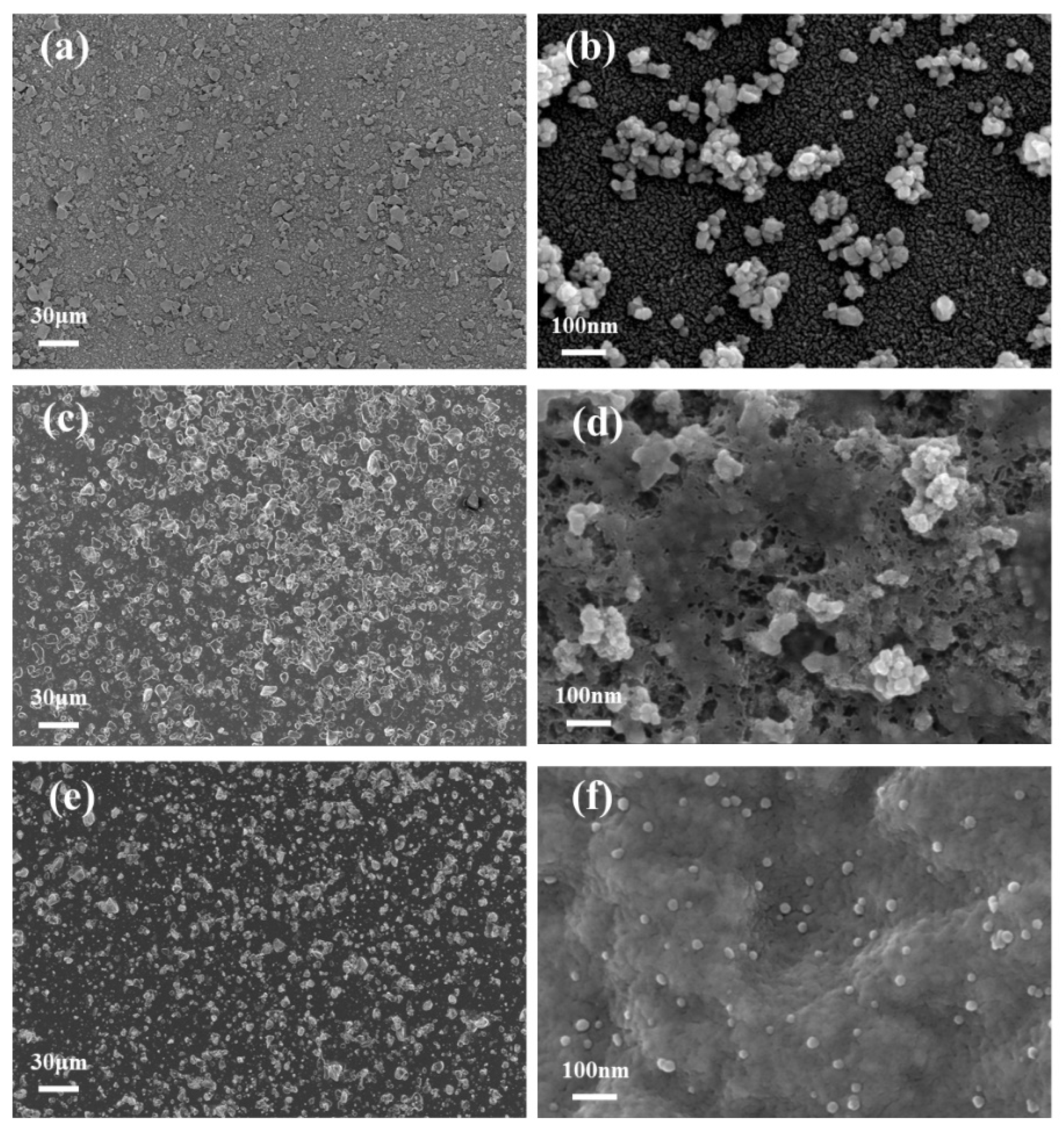 Sensors 25 02655 g002